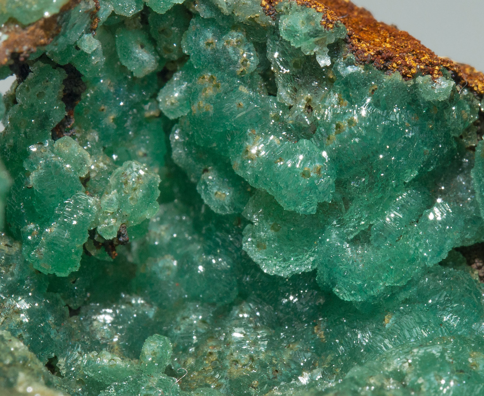 specimens/s_imagesY6/Adamite_Cuprian-EB14Y6d.jpg