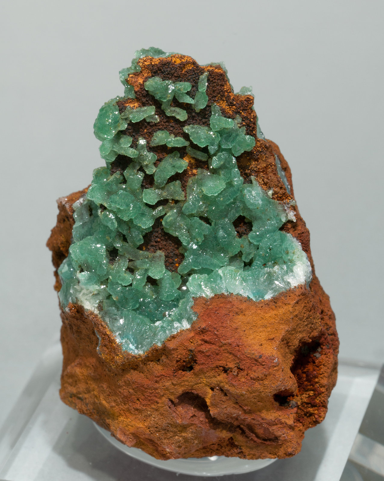 specimens/s_imagesY6/Adamite_Cuprian-EC14Y6f.jpg
