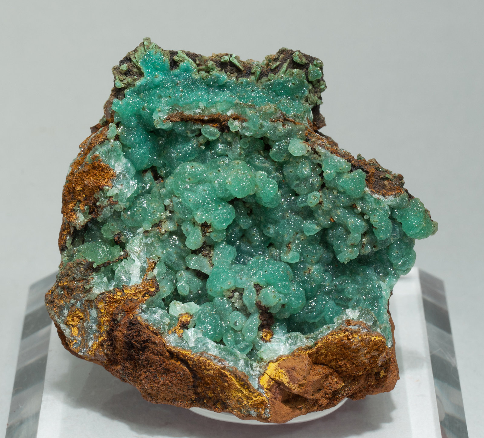 specimens/s_imagesY6/Adamite_Cuprian-EE66Y6f.jpg