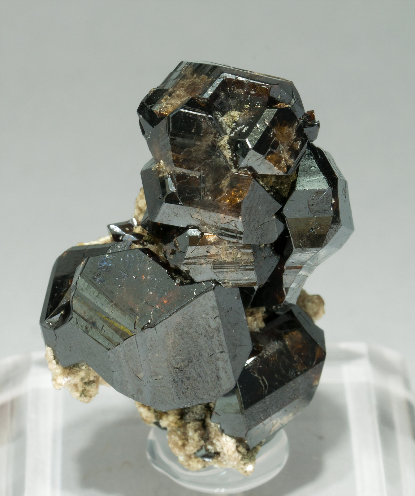 specimens/s_imagesY6/Cassiterite-AF38Y6f.jpg