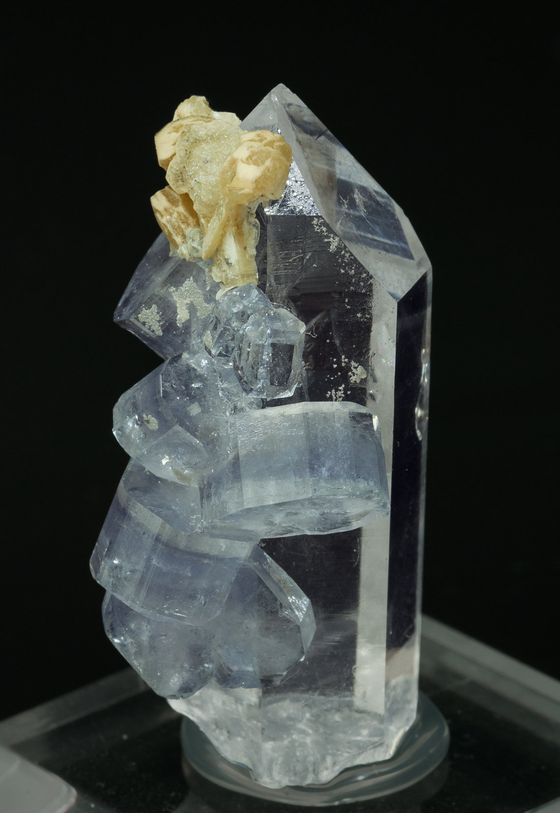 specimens/s_imagesY6/Fluorapatite-AJ27Y6f.jpg