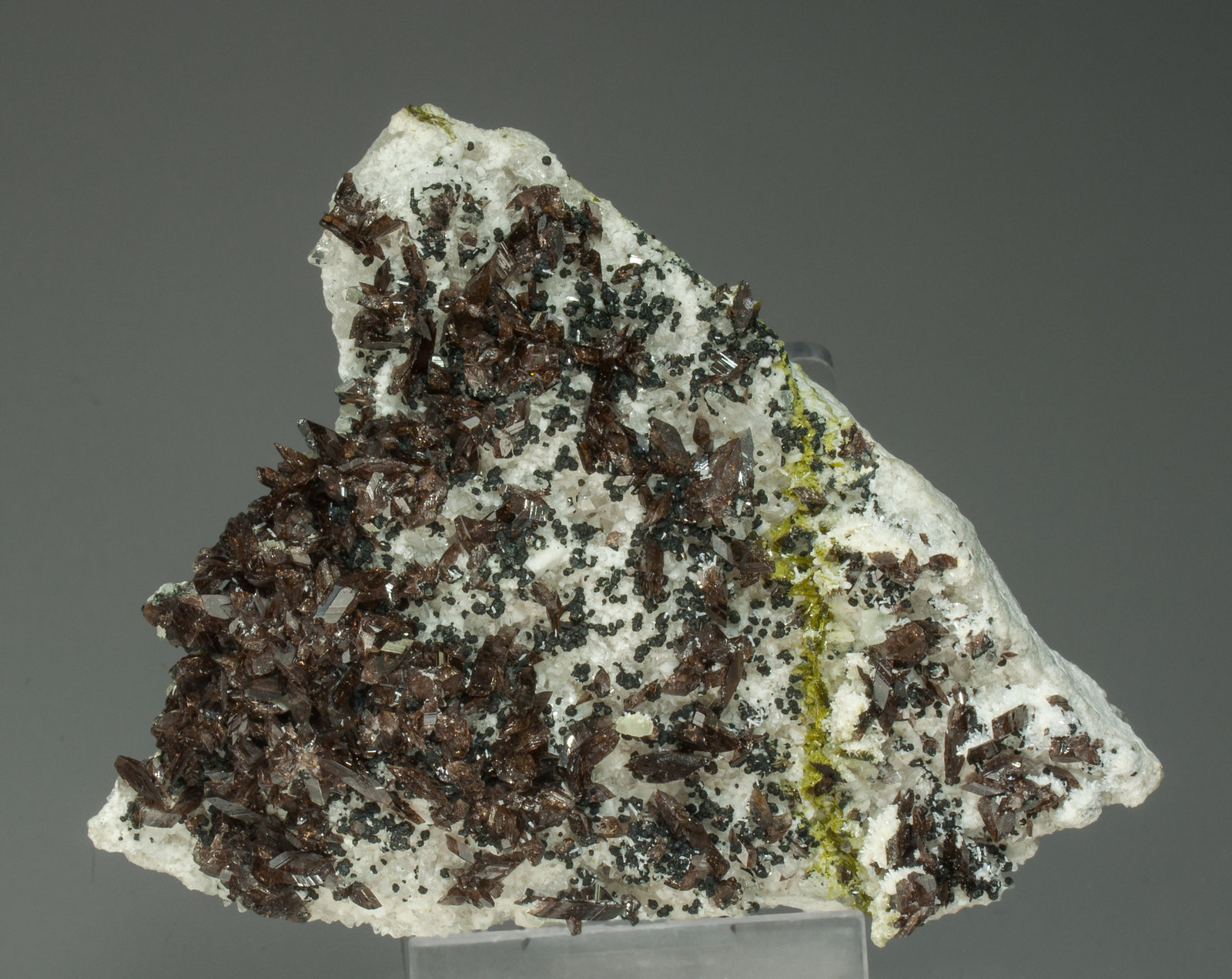 specimens/s_imagesY7/Axinite-EG11Y7f.jpg