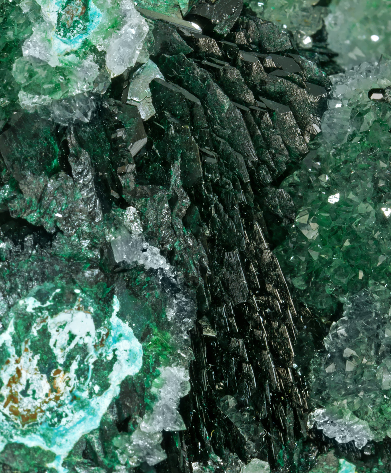 specimens/s_imagesY7/Clinoatacamite-MB49Y7d.jpg