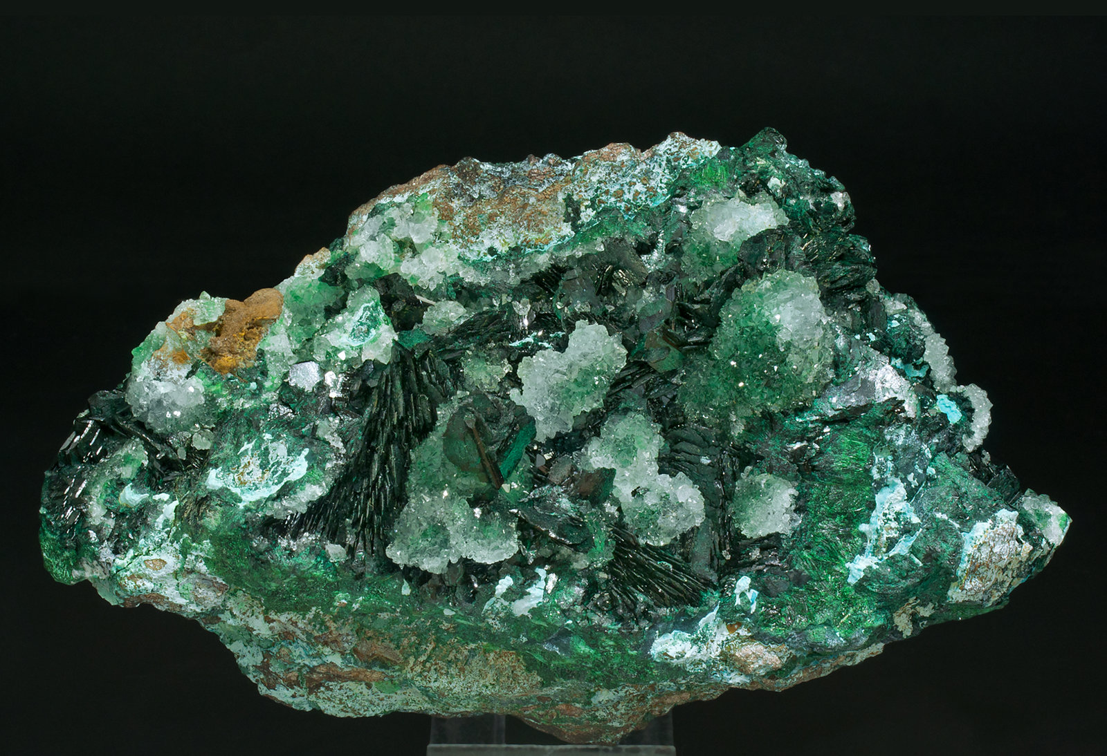 specimens/s_imagesY7/Clinoatacamite-MB49Y7f.jpg