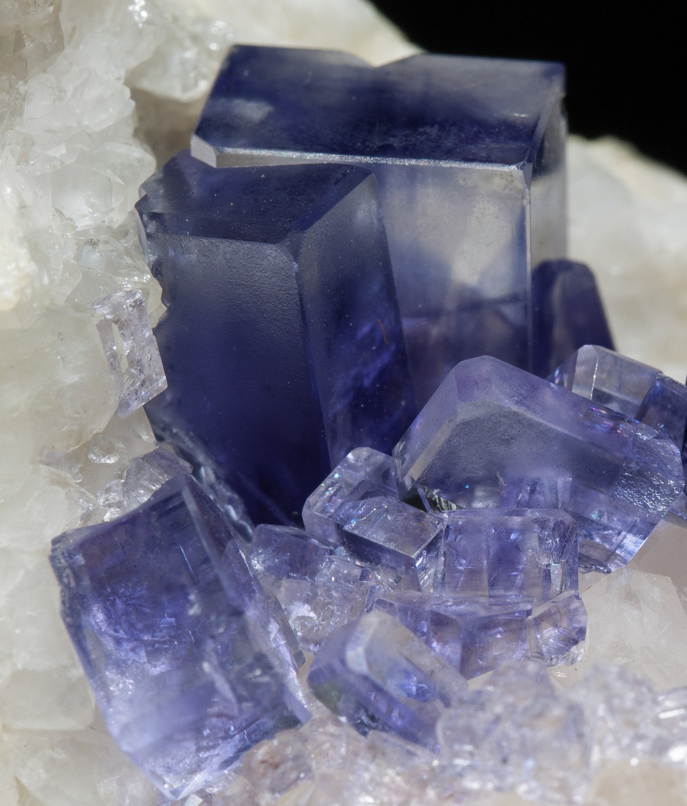 specimens/s_imagesY7/Fluorite-NE89Y7d.jpg