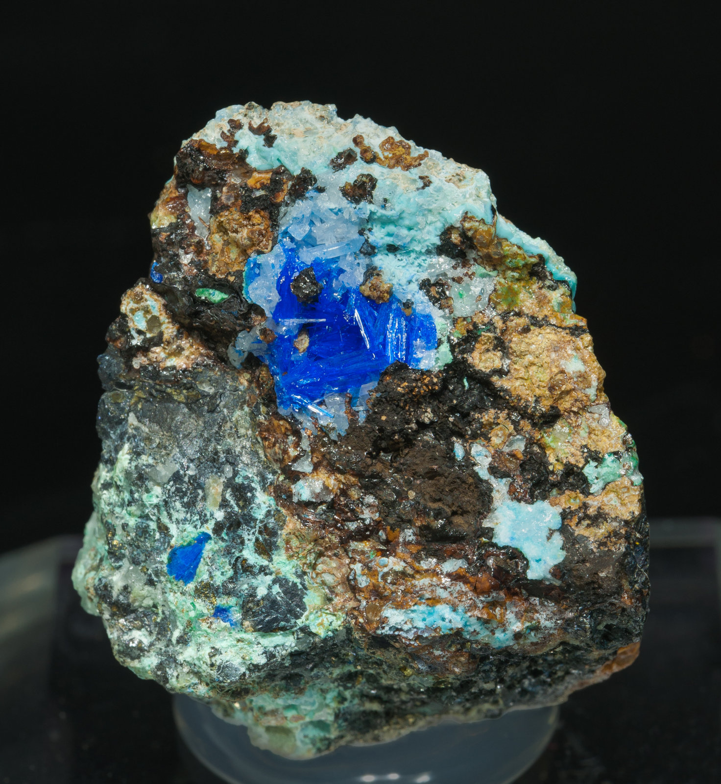 specimens/s_imagesY7/Linarite-ED16Y7f.jpg