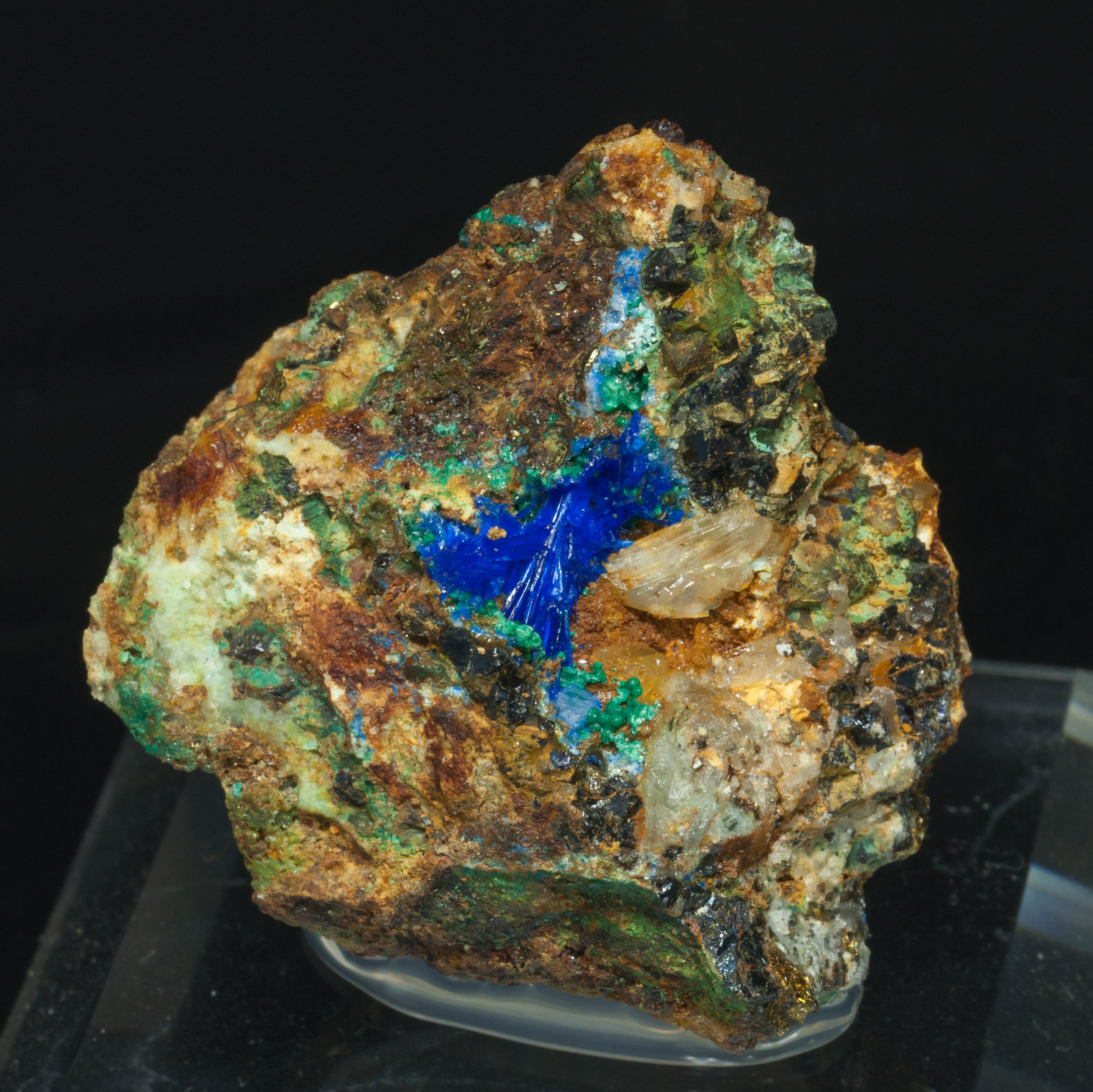 specimens/s_imagesY7/Linarite-EP16Y7f.jpg