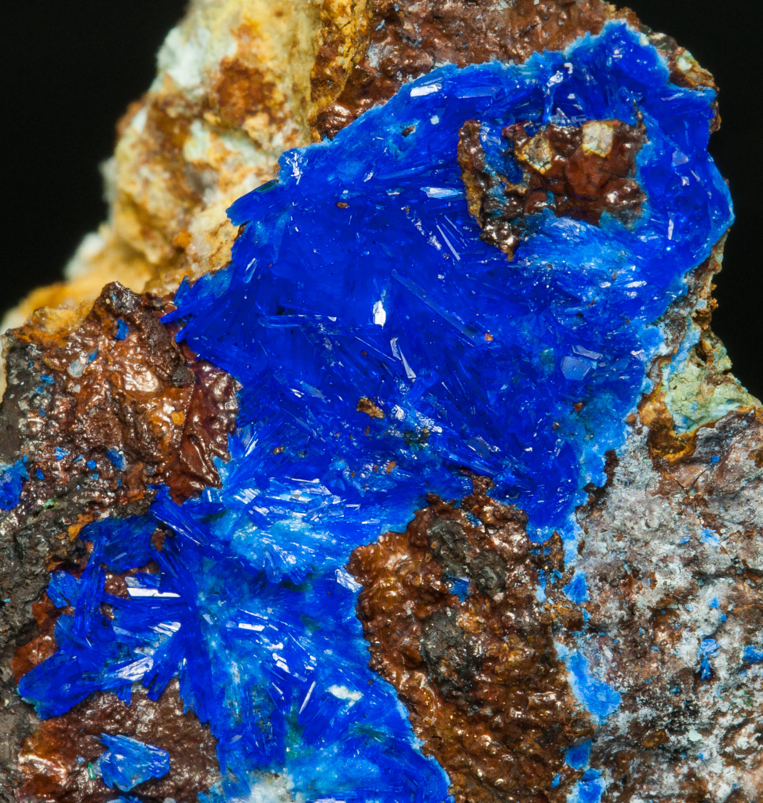 specimens/s_imagesY7/Linarite-EQ14Y7d.jpg