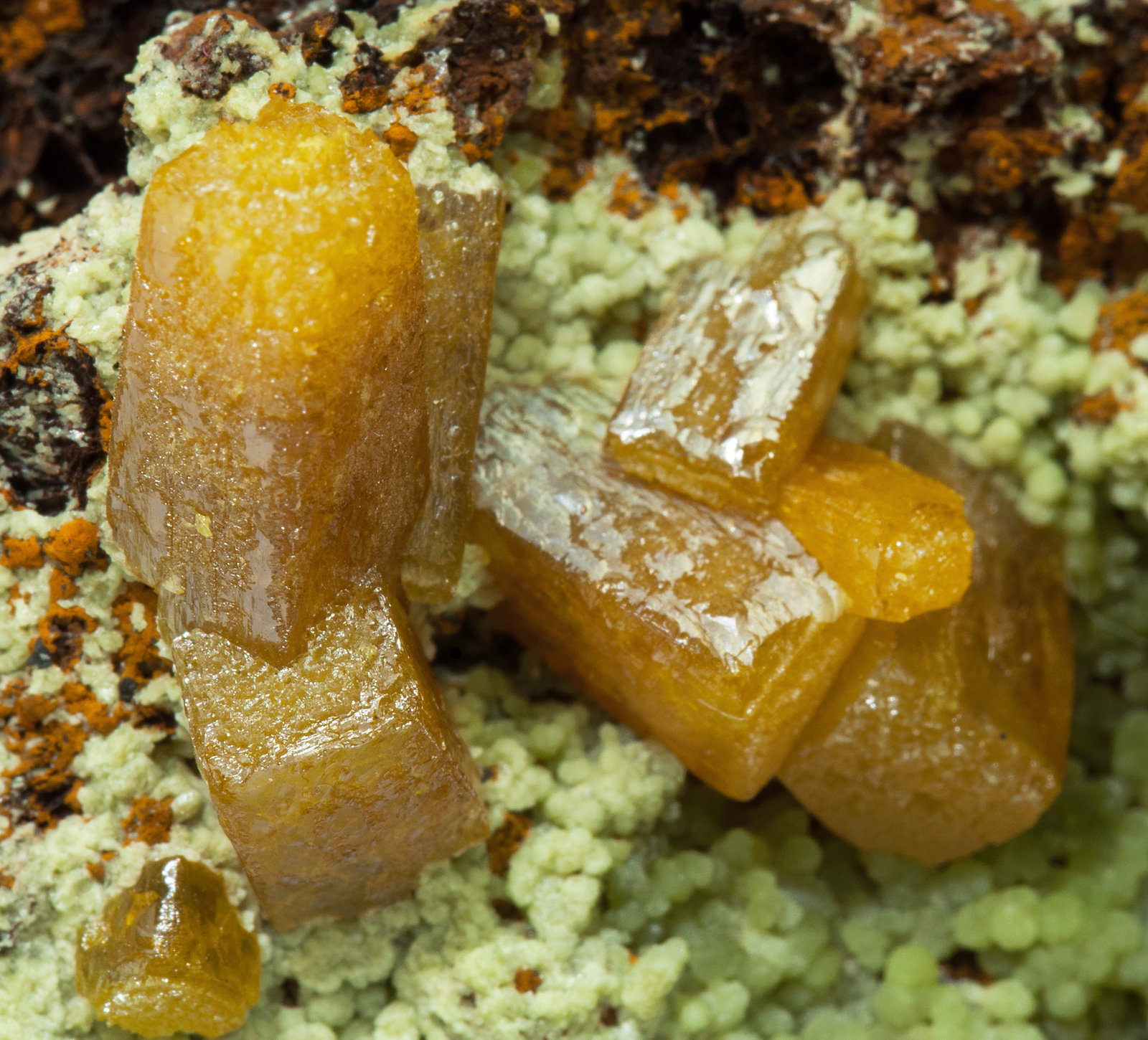 specimens/s_imagesY7/Wulfenite-TE16Y7d.jpg