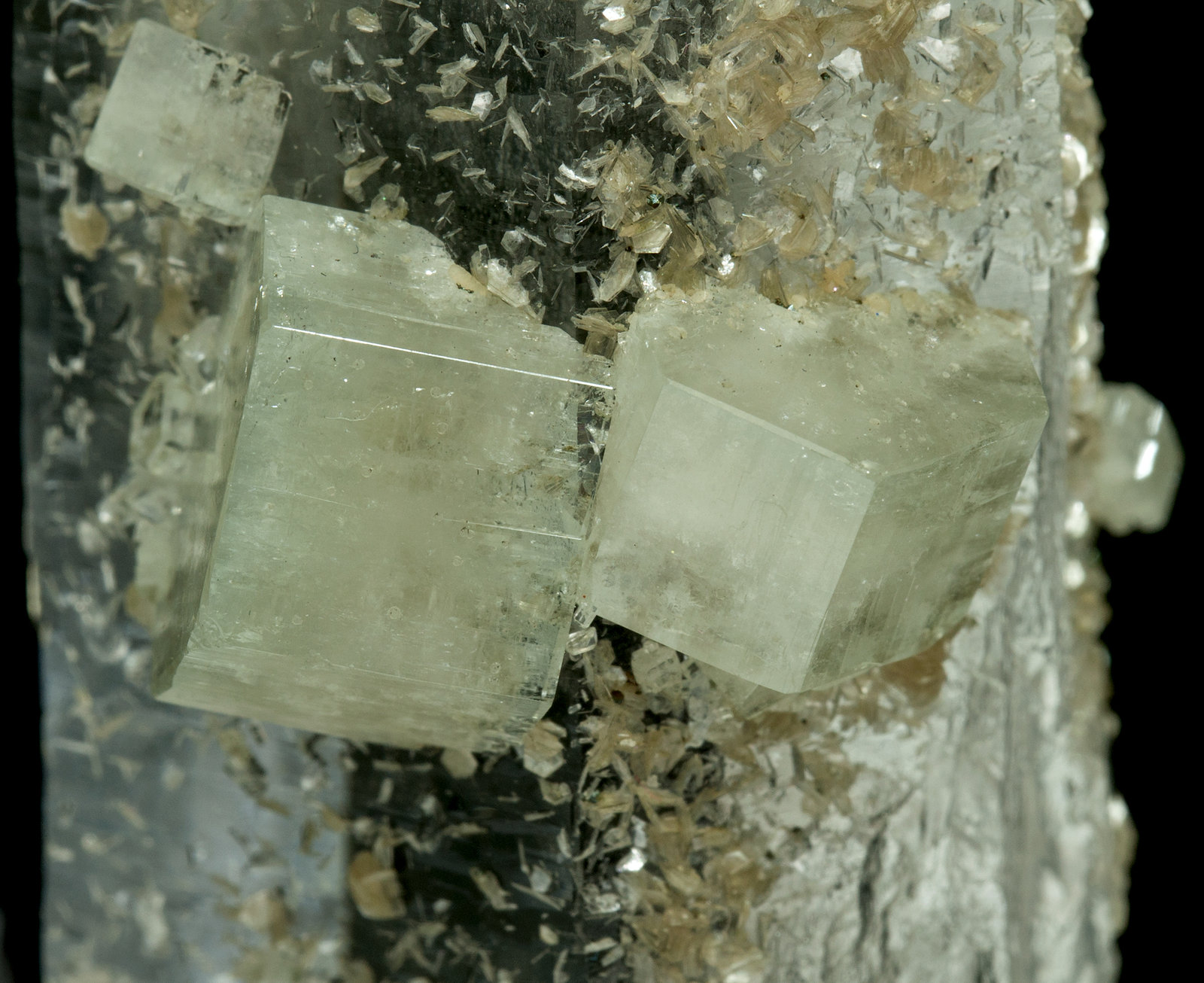 specimens/s_imagesY8/Fluorapatite-AB50Y8d.jpg