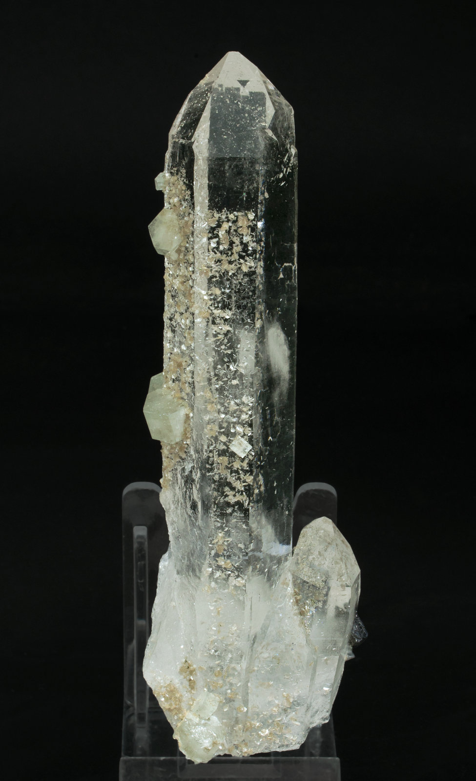 specimens/s_imagesY8/Fluorapatite-AB50Y8f.jpg