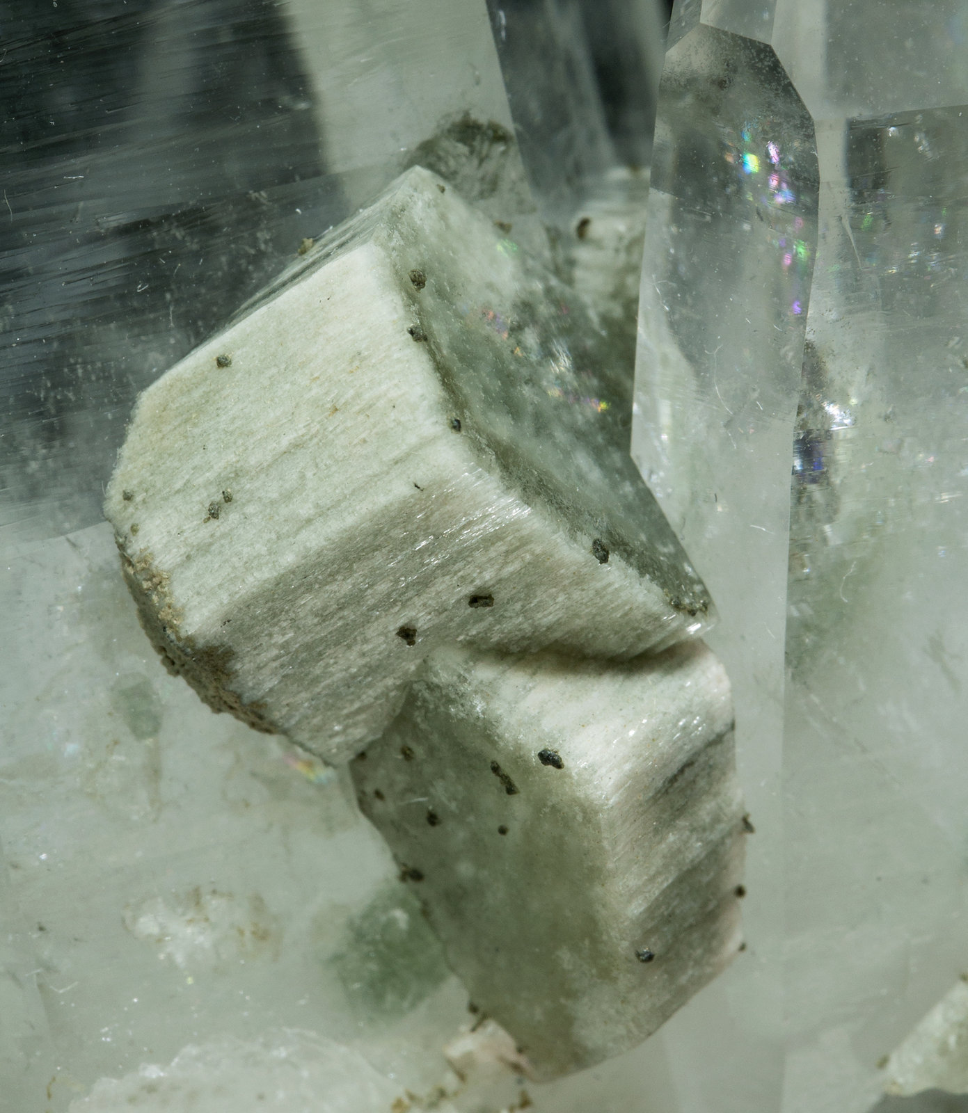 specimens/s_imagesY8/Fluorapatite-AB91Y8d1.jpg