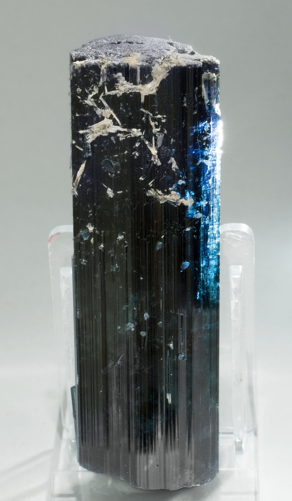 specimens/s_imagesY9/Elbaite_Indicolite-VC29Y9s1.jpg