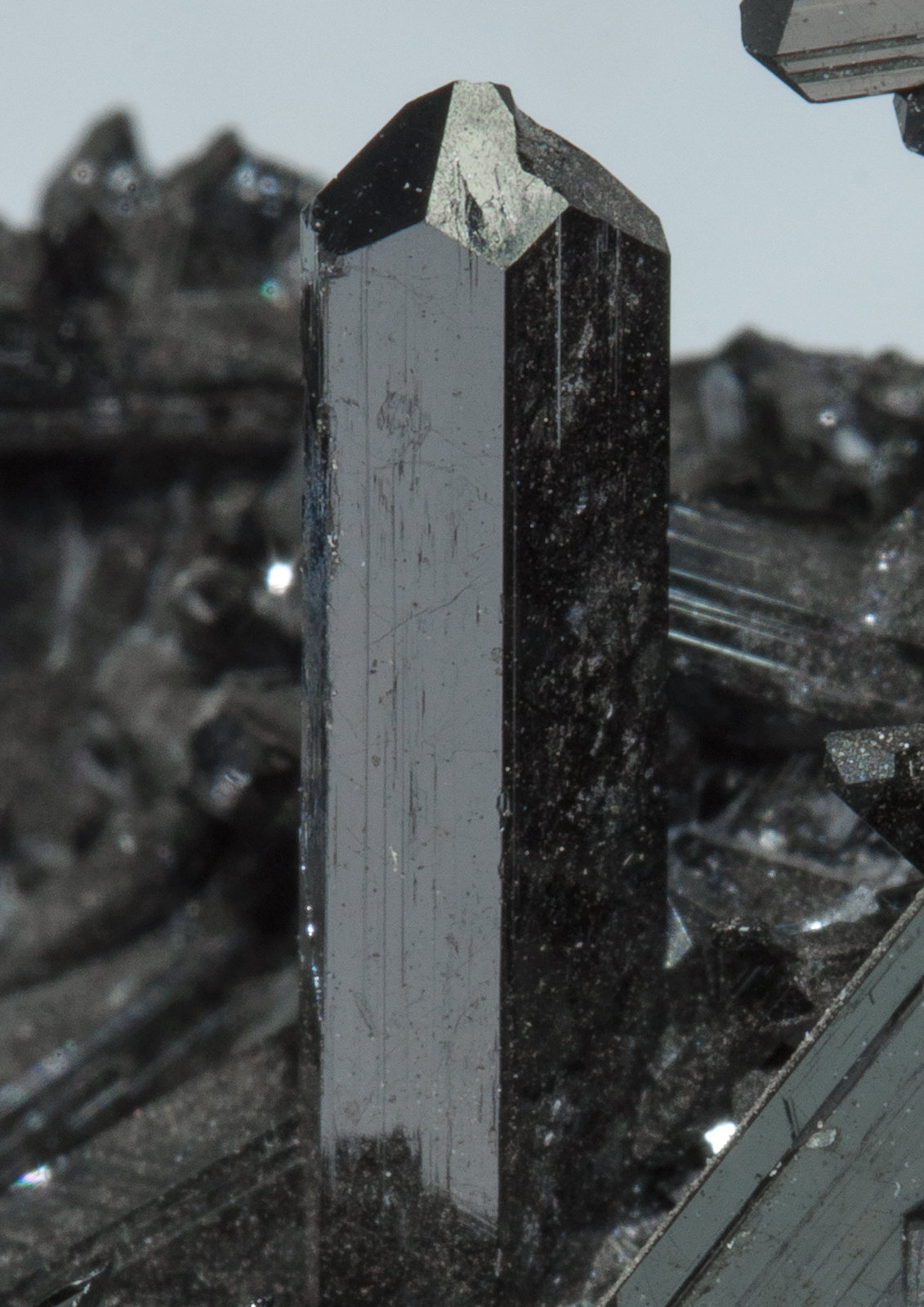 specimens/s_imagesY9/Gaudefroyite-MF86Y9d.jpg