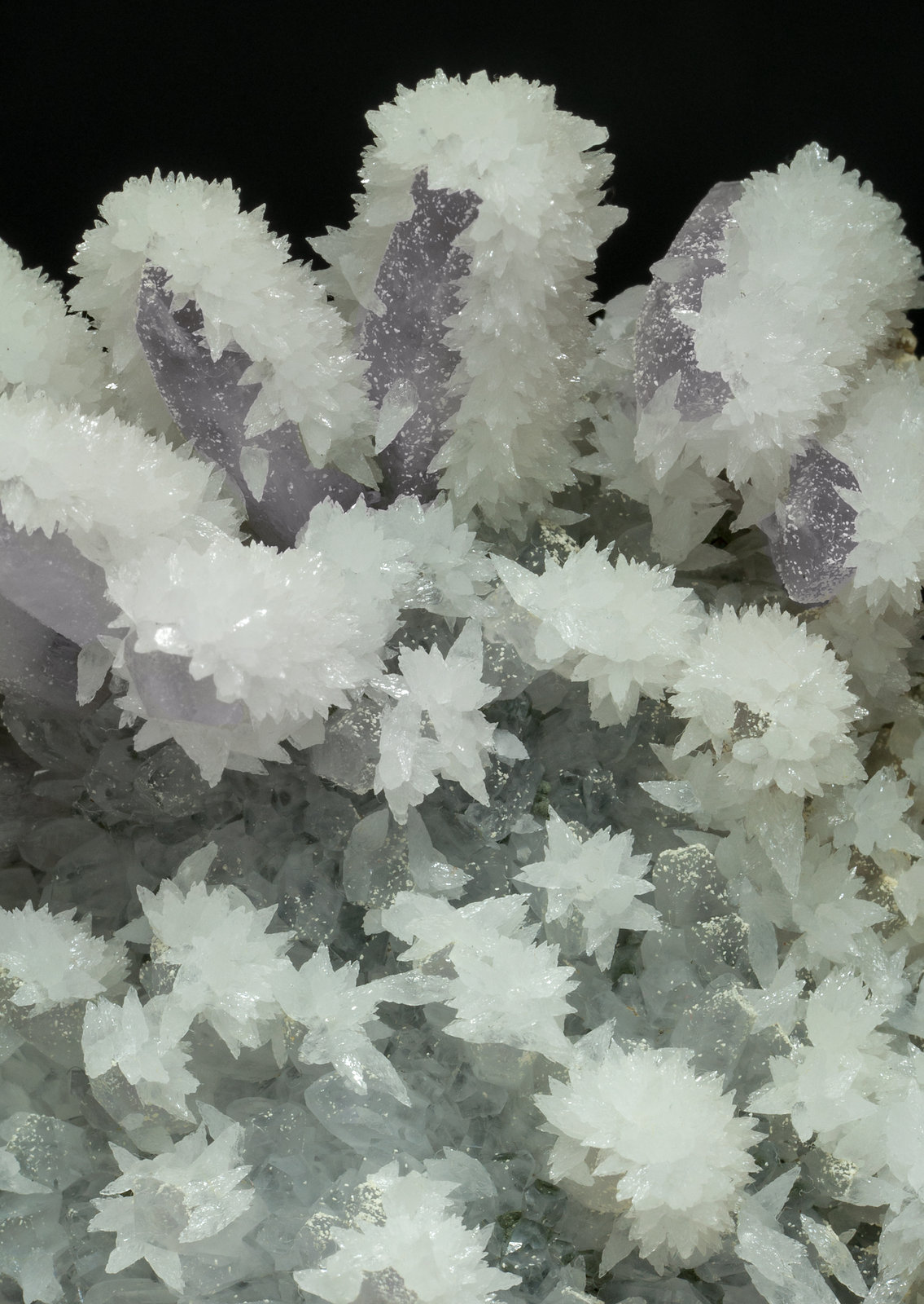 specimens/s_imagesY9/Quartz_amethyst-MH46Y9d.jpg
