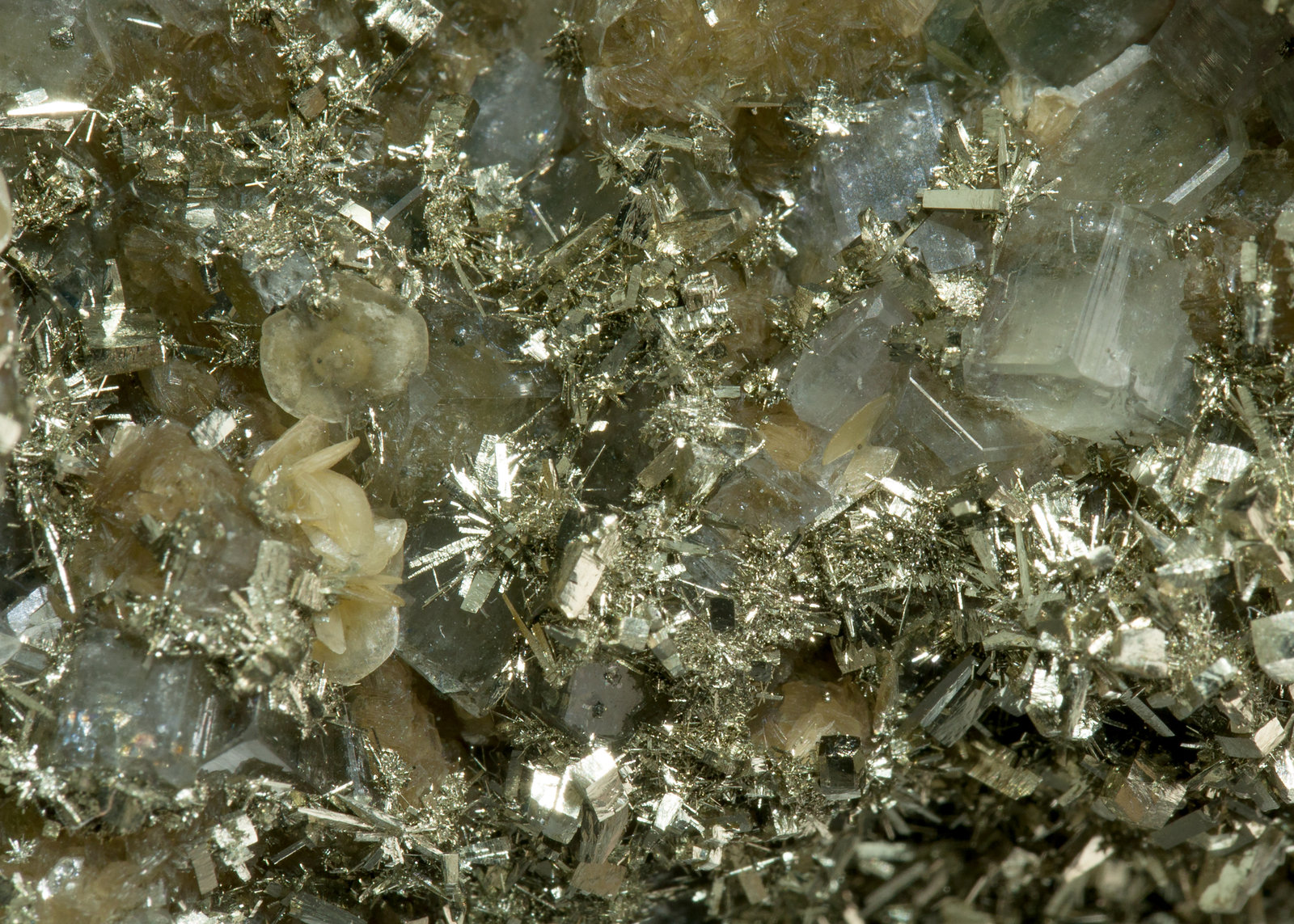 specimens/s_imagesZ0/Fluorapatite-AG27Z0d1.jpg