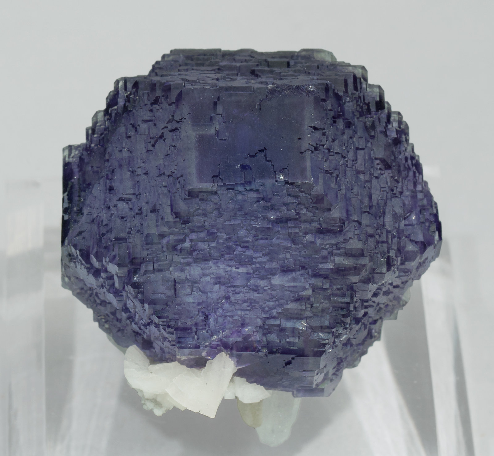 specimens/s_imagesZ0/Fluorite-TR89Z0f.jpg