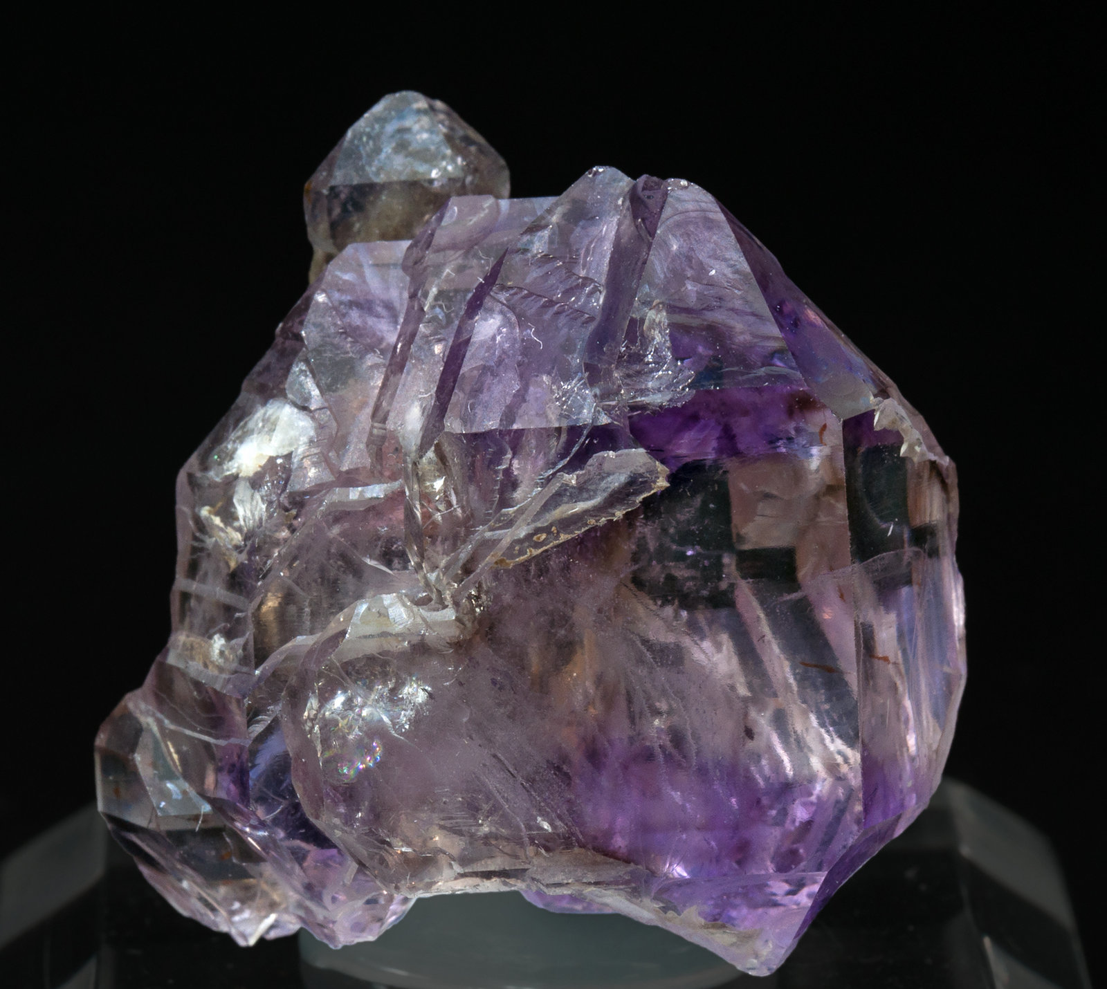 specimens/s_imagesZ0/Quartz_amethyst-ML6Z0f.jpg