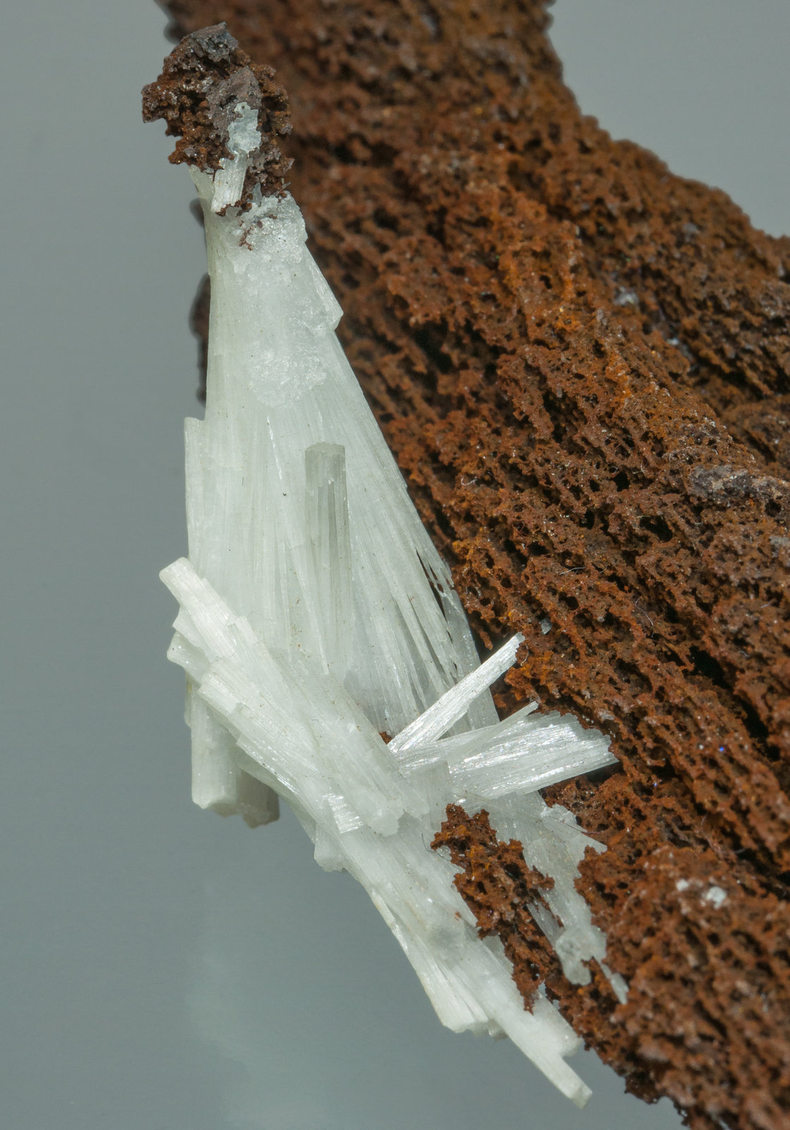 specimens/s_imagesZ1/Cerussite-ER89Z1d.jpg