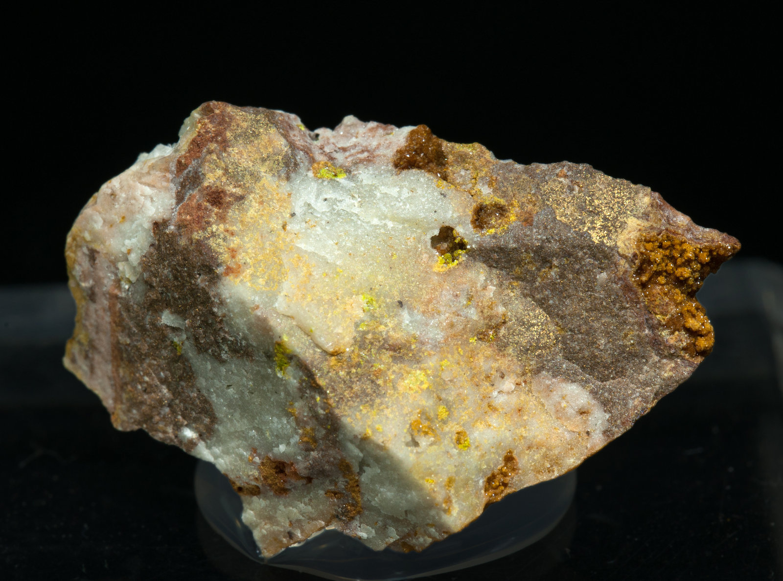 specimens/s_imagesZ1/Gold-NH13Z1f.jpg