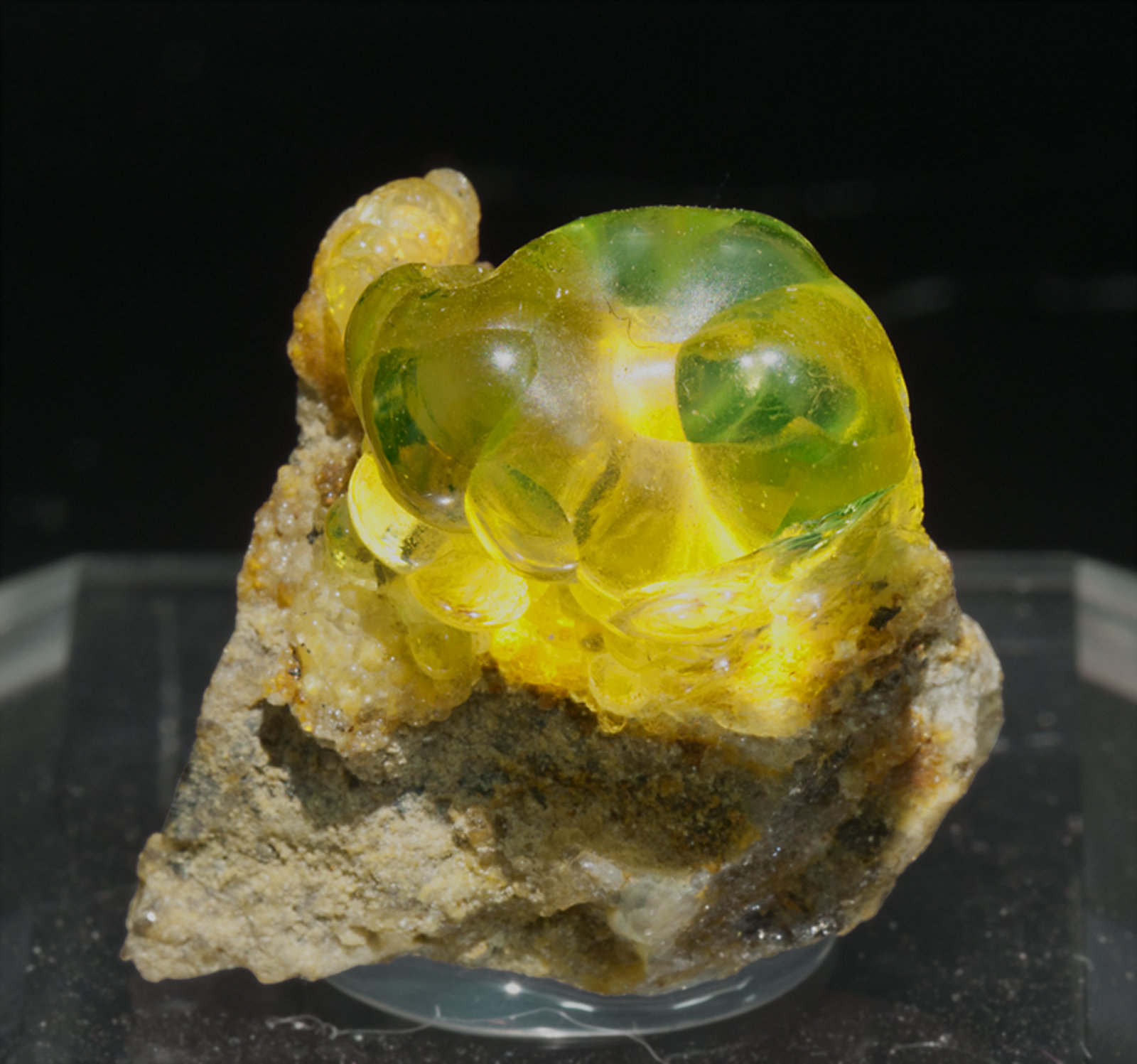 specimens/s_imagesZ1/Opal-TP27Z1f1.jpg