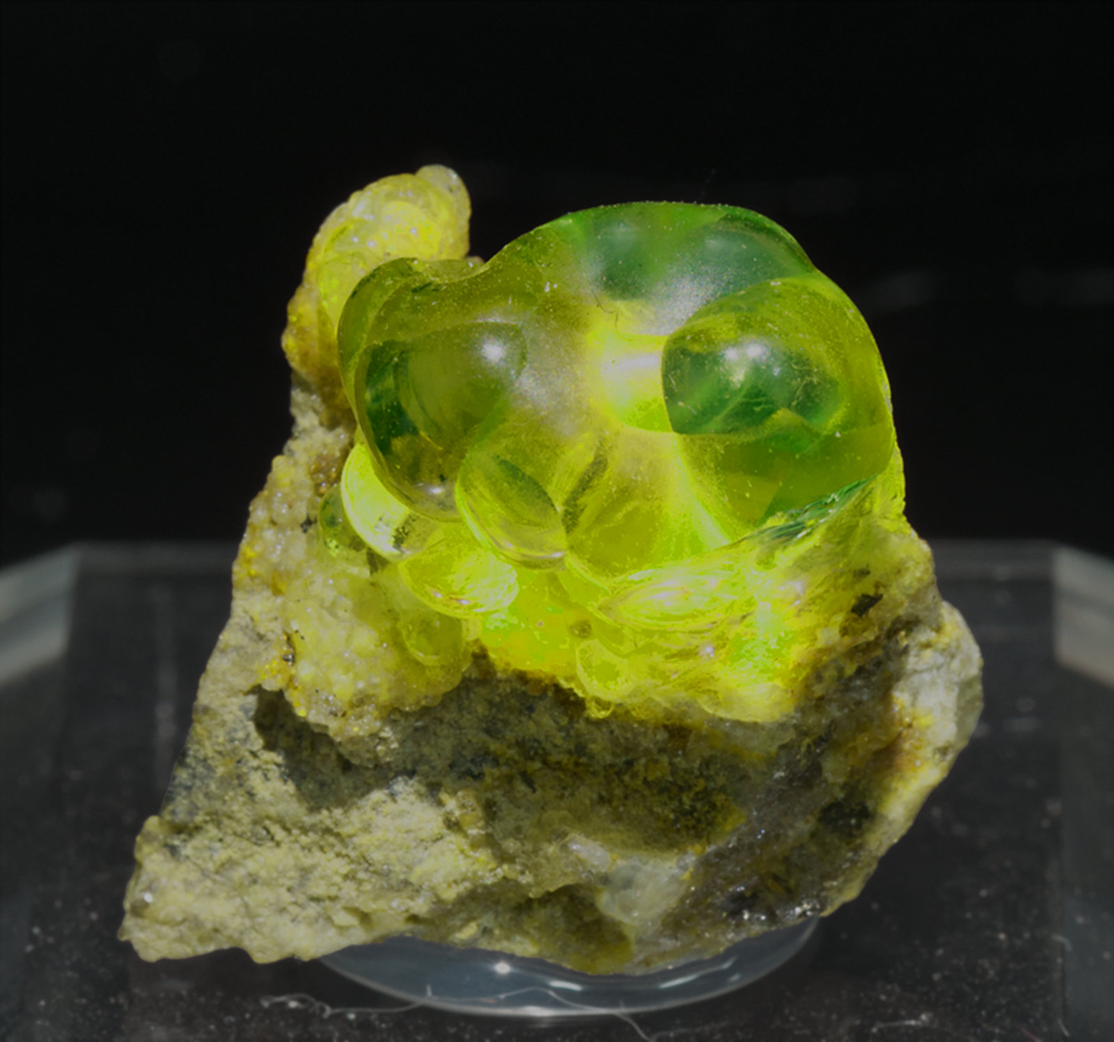 specimens/s_imagesZ1/Opal-TP27Z1f2.jpg