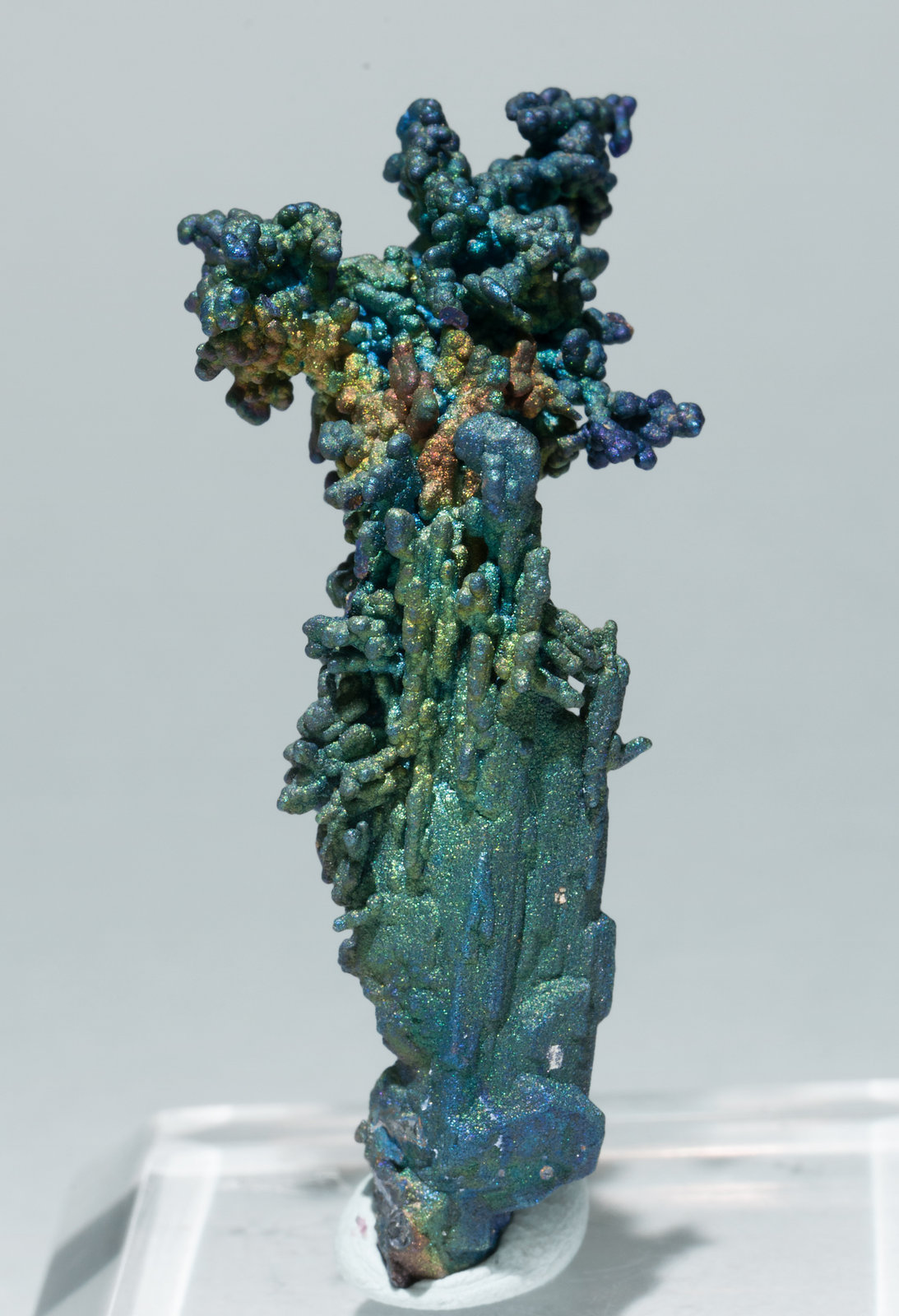 specimens/s_imagesZ2/Chalcocite-TX96Z2f.jpg