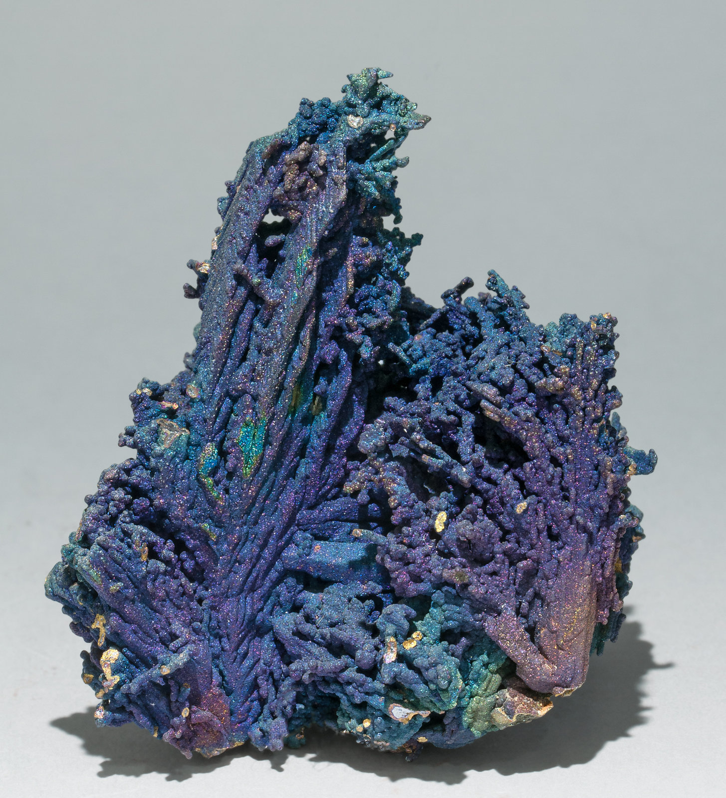 specimens/s_imagesZ2/Chalcocite-TY38Z2f.jpg