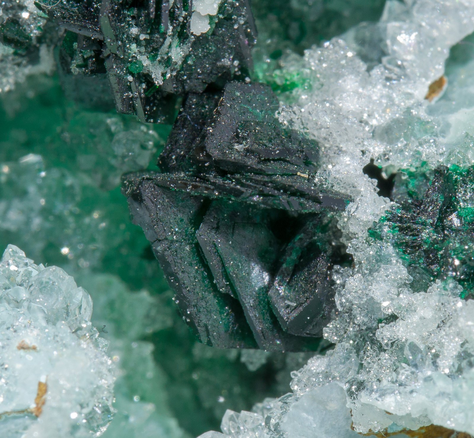 specimens/s_imagesZ2/Clinoatacamite-TE66Z2d.jpg