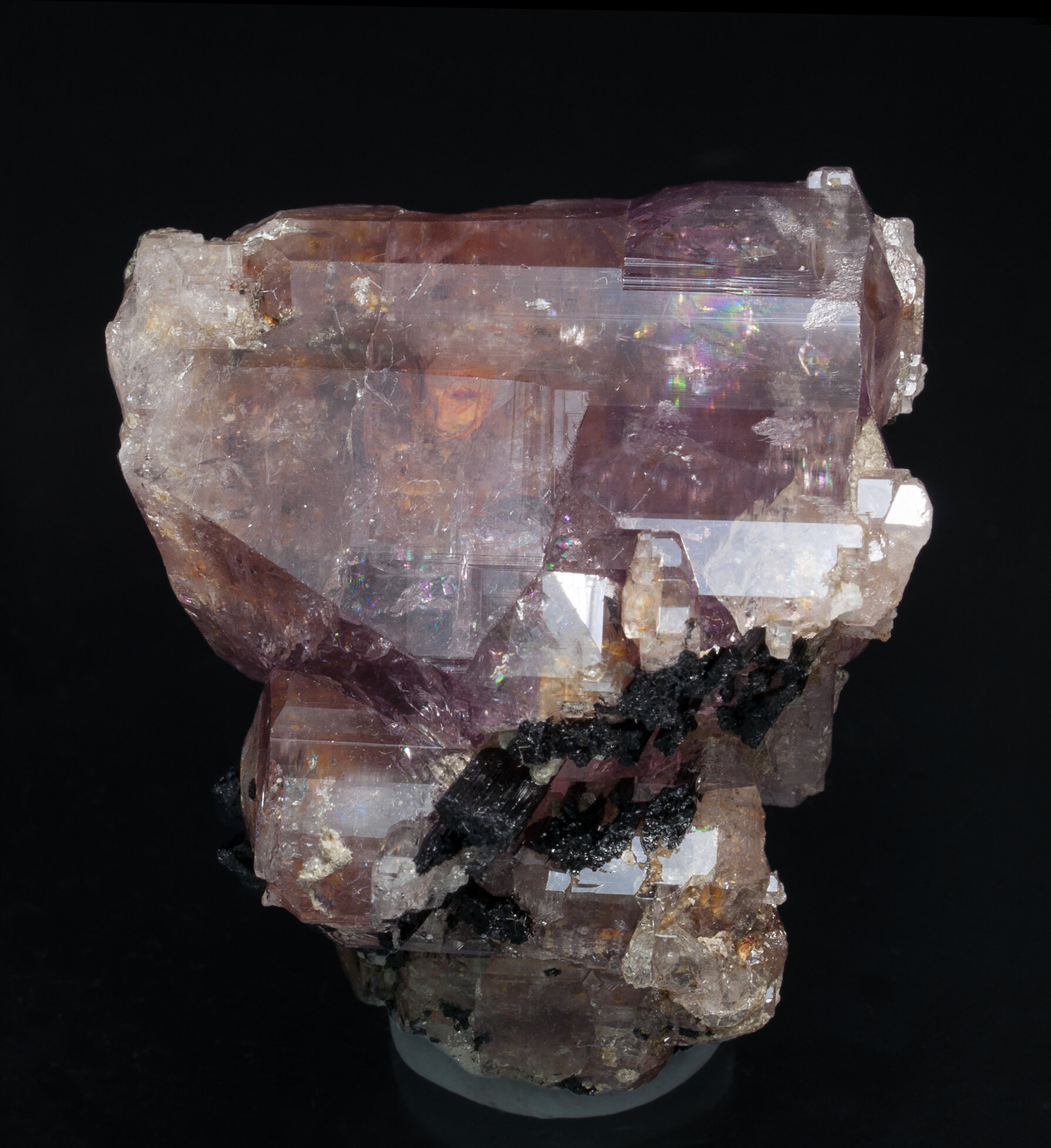 specimens/s_imagesZ2/Fluorapatite-TC30Z2f.jpg