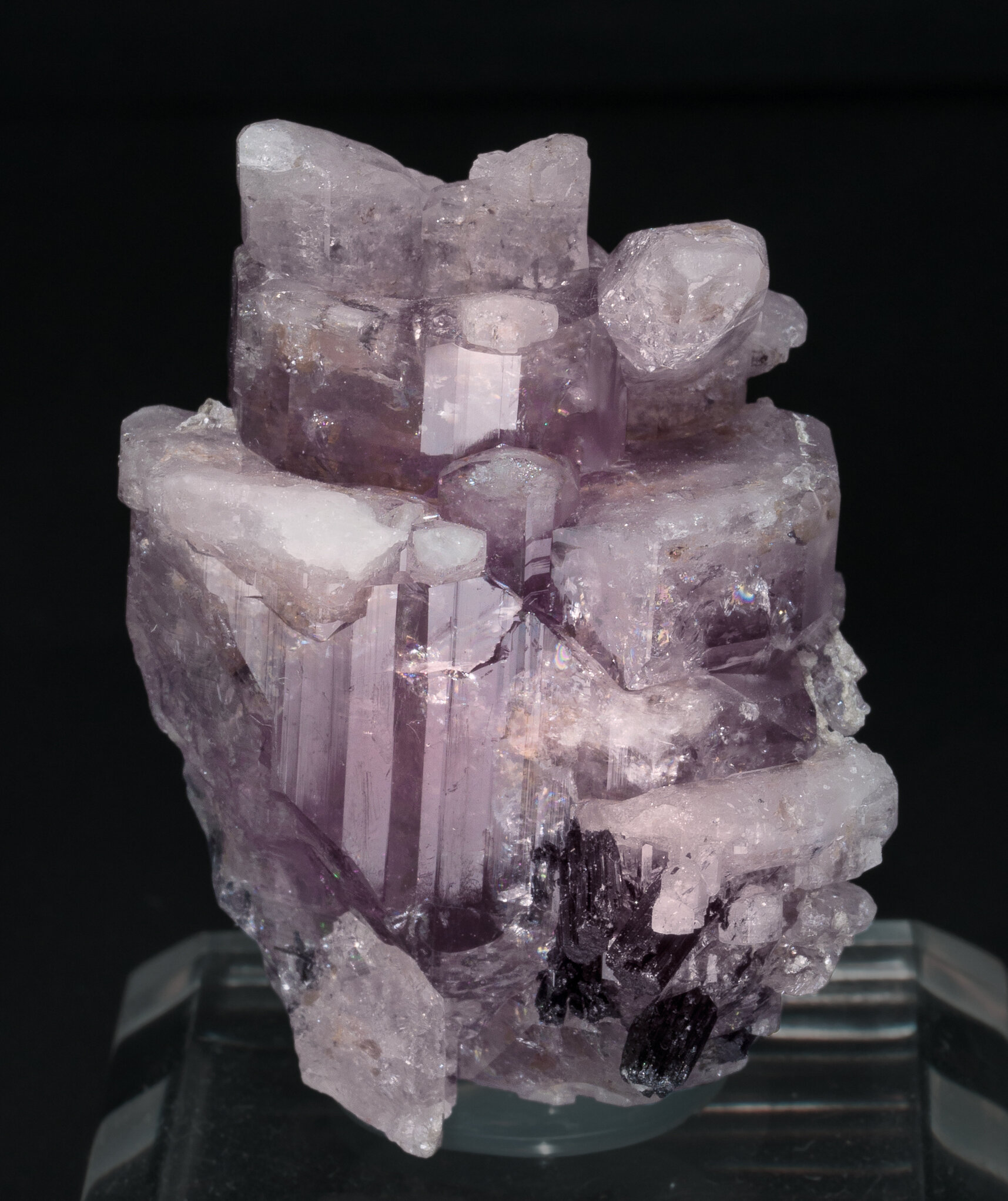 specimens/s_imagesZ2/Fluorapatite-TR49Z2f_nou.jpg