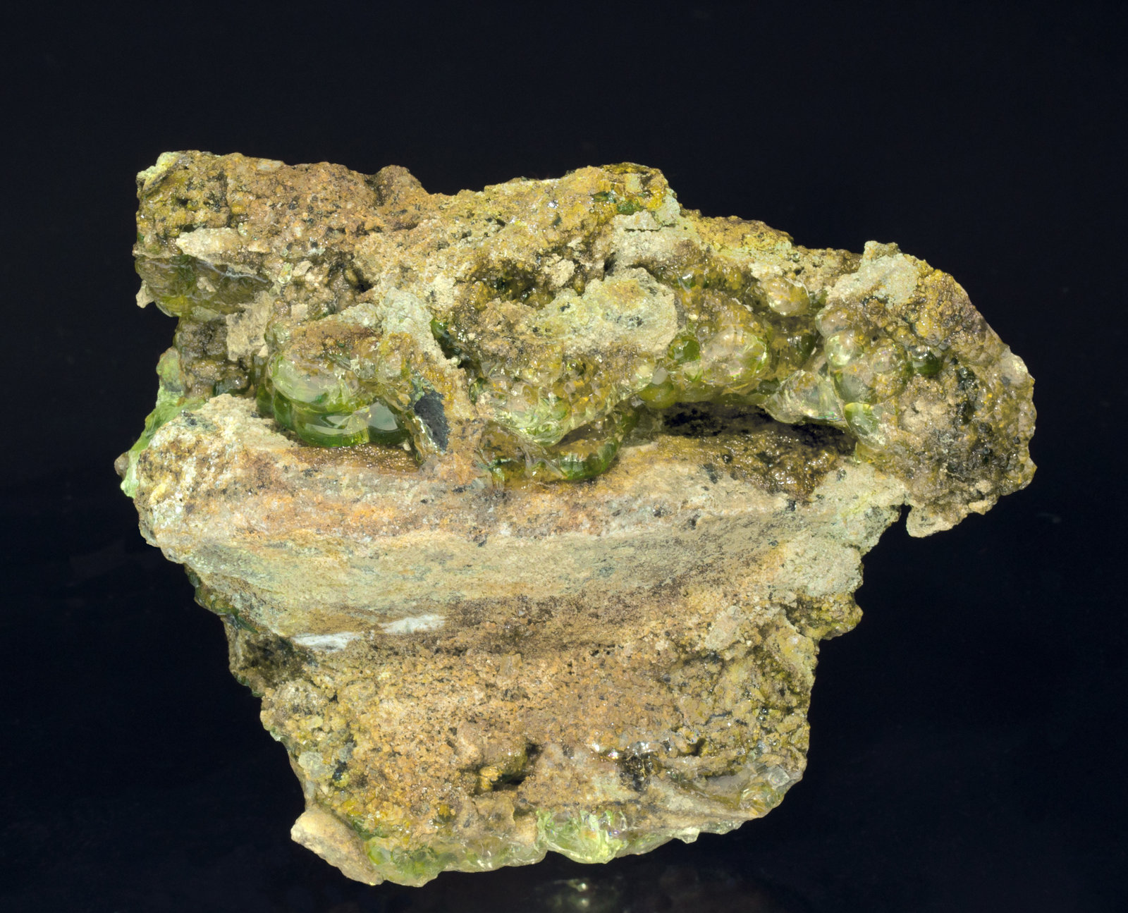 specimens/s_imagesZ2/Opal-TB47Z2f1.jpg