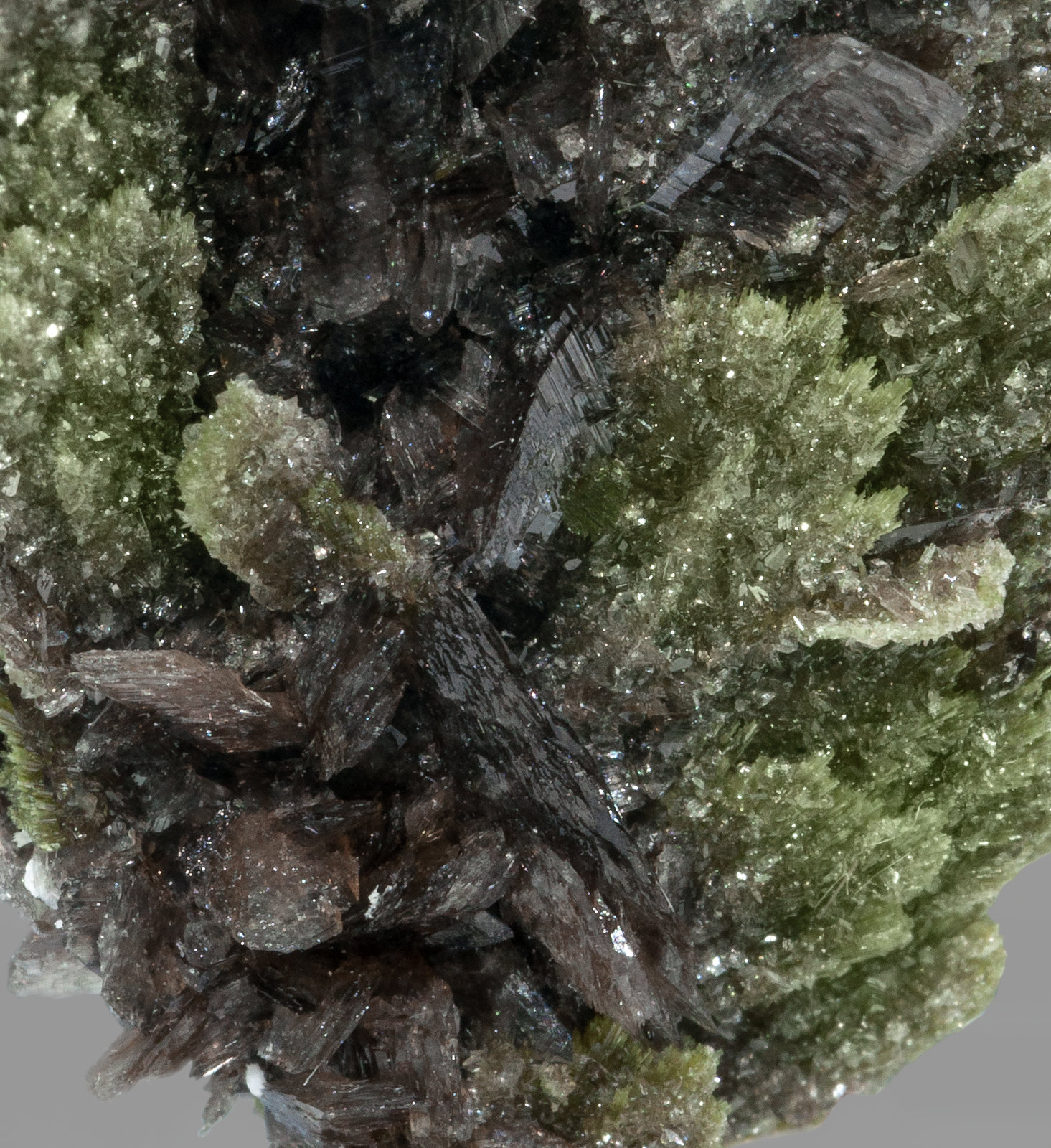 specimens/s_imagesZ3/Epidote-TQ56Z3d.jpg