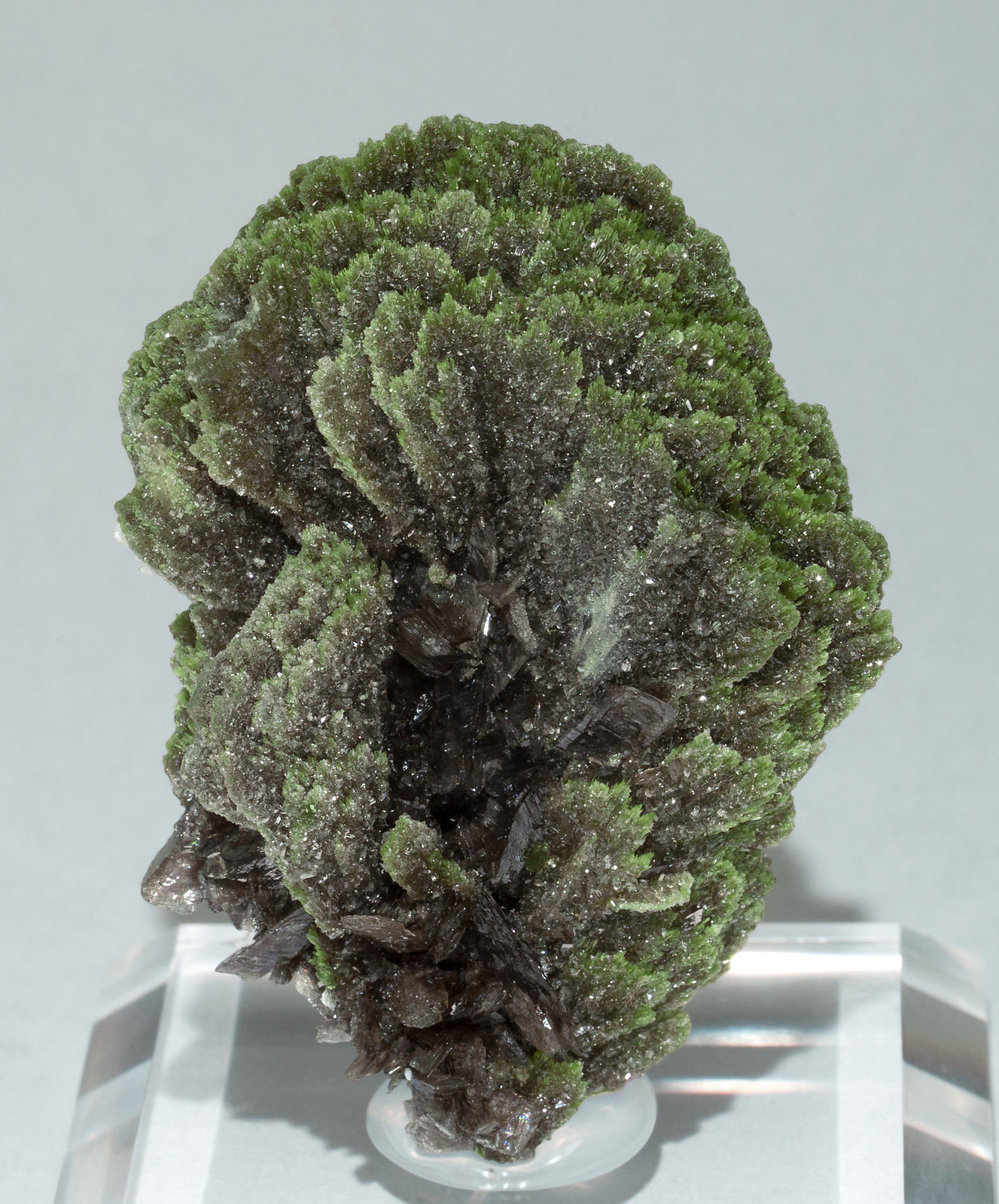 specimens/s_imagesZ3/Epidote-TQ56Z3f.jpg