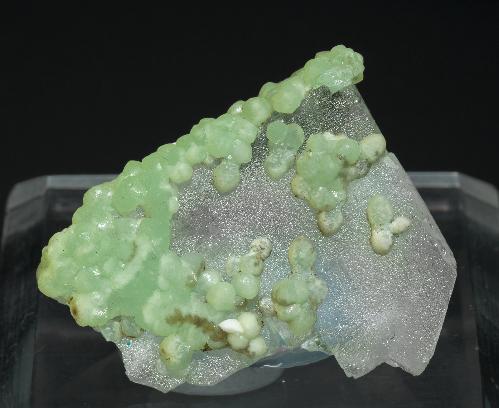 specimens/s_imagesZ3/Fluorite-MR16Z3f.jpg