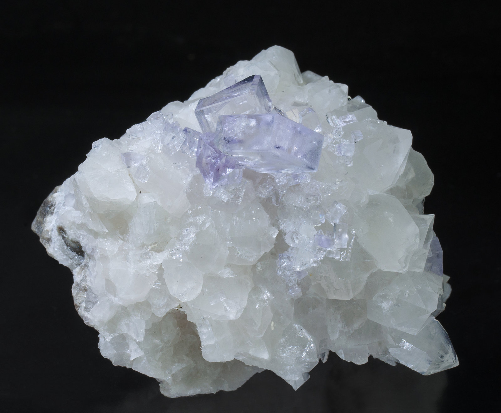 specimens/s_imagesZ3/Fluorite-ND90Z3f.jpg