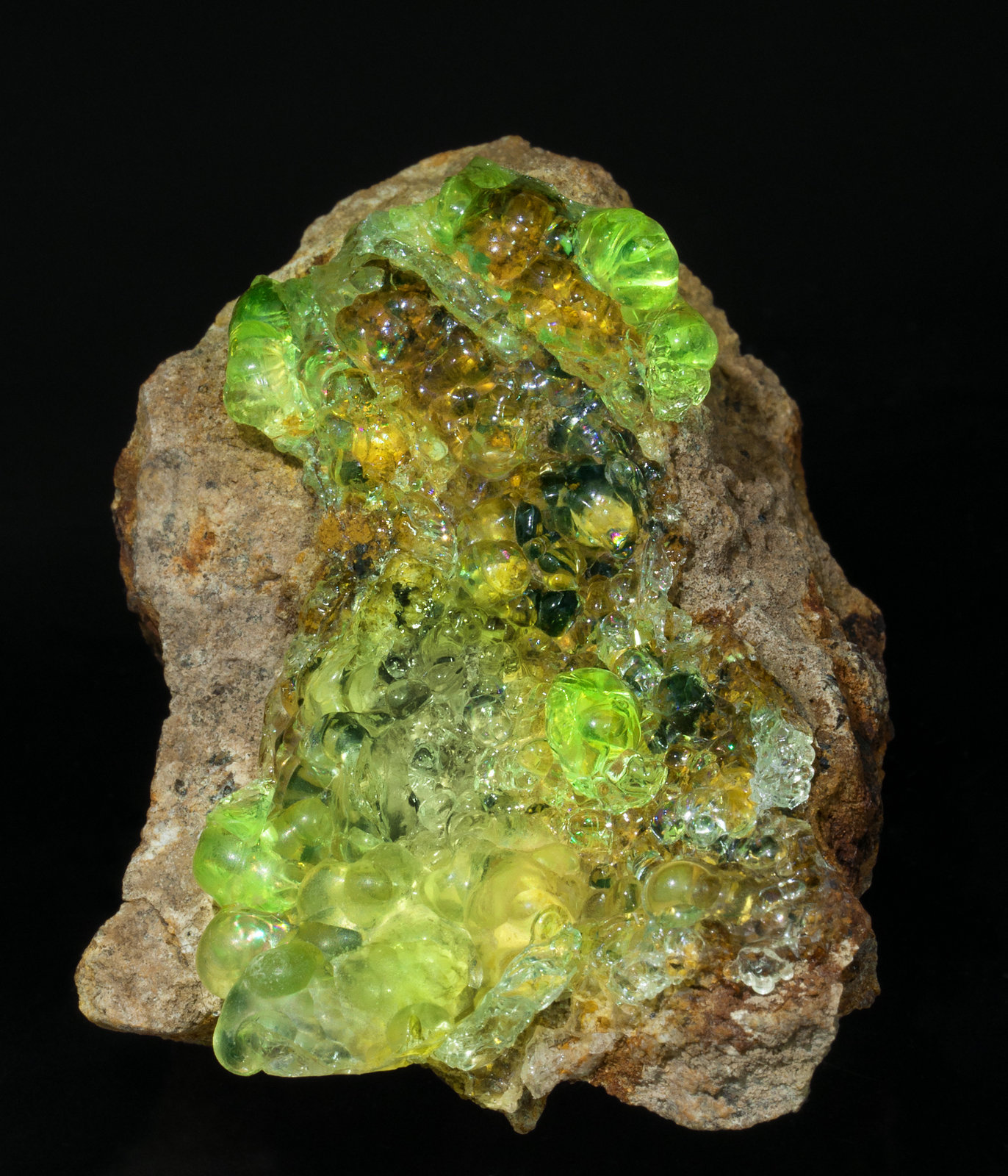specimens/s_imagesZ3/Opal-TB99Z3f22.jpg