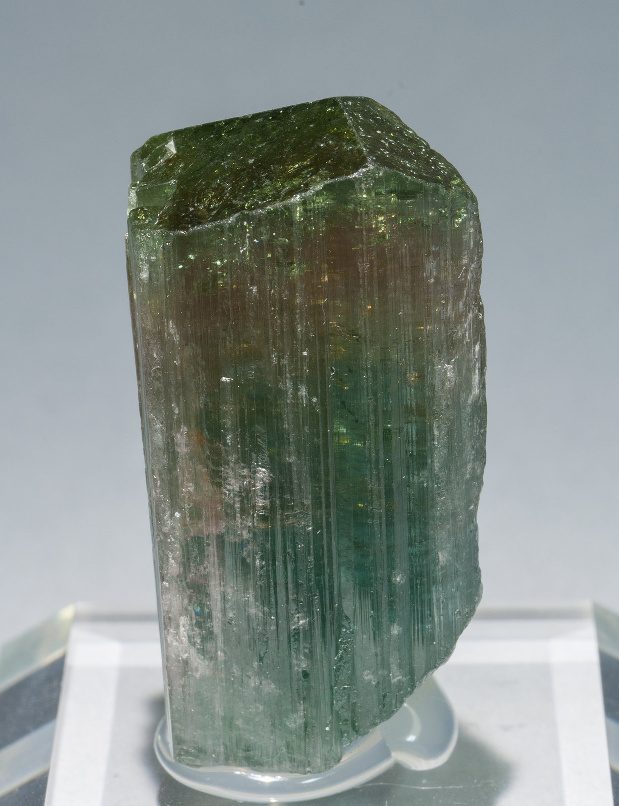 specimens/s_imagesZ4/Elbaite-VE27Z4f.jpg