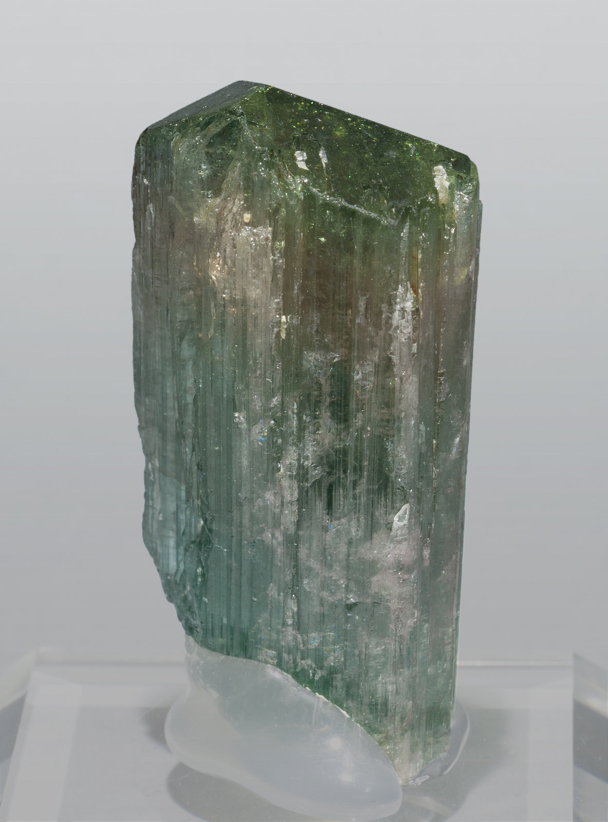 specimens/s_imagesZ4/Elbaite-VE27Z4r.jpg