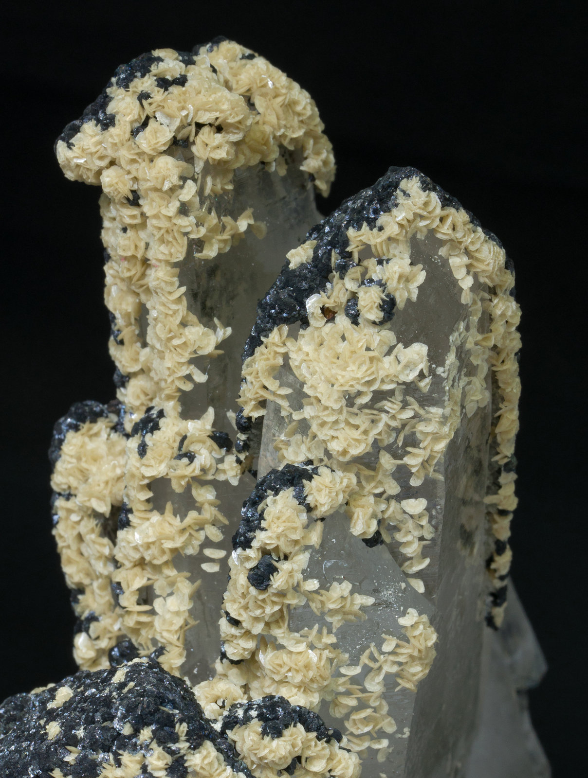 specimens/s_imagesZ4/Quartz-N17PQZ4d.jpg