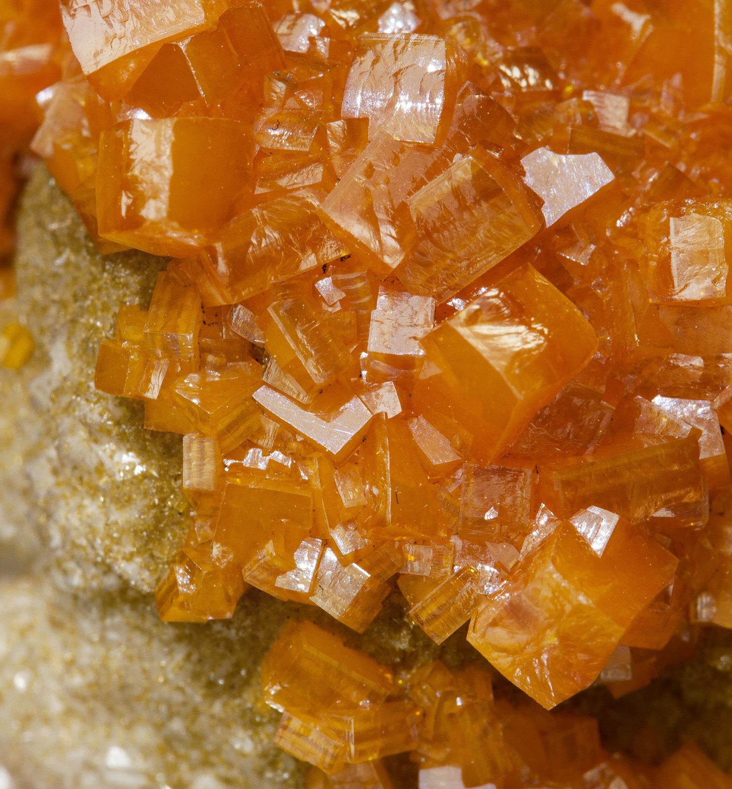 specimens/s_imagesZ4/Wulfenite-VD67Z4d.jpg