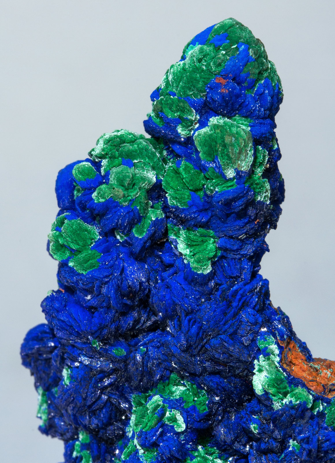 specimens/s_imagesZ5/Azurite-NF26Z5d.jpg