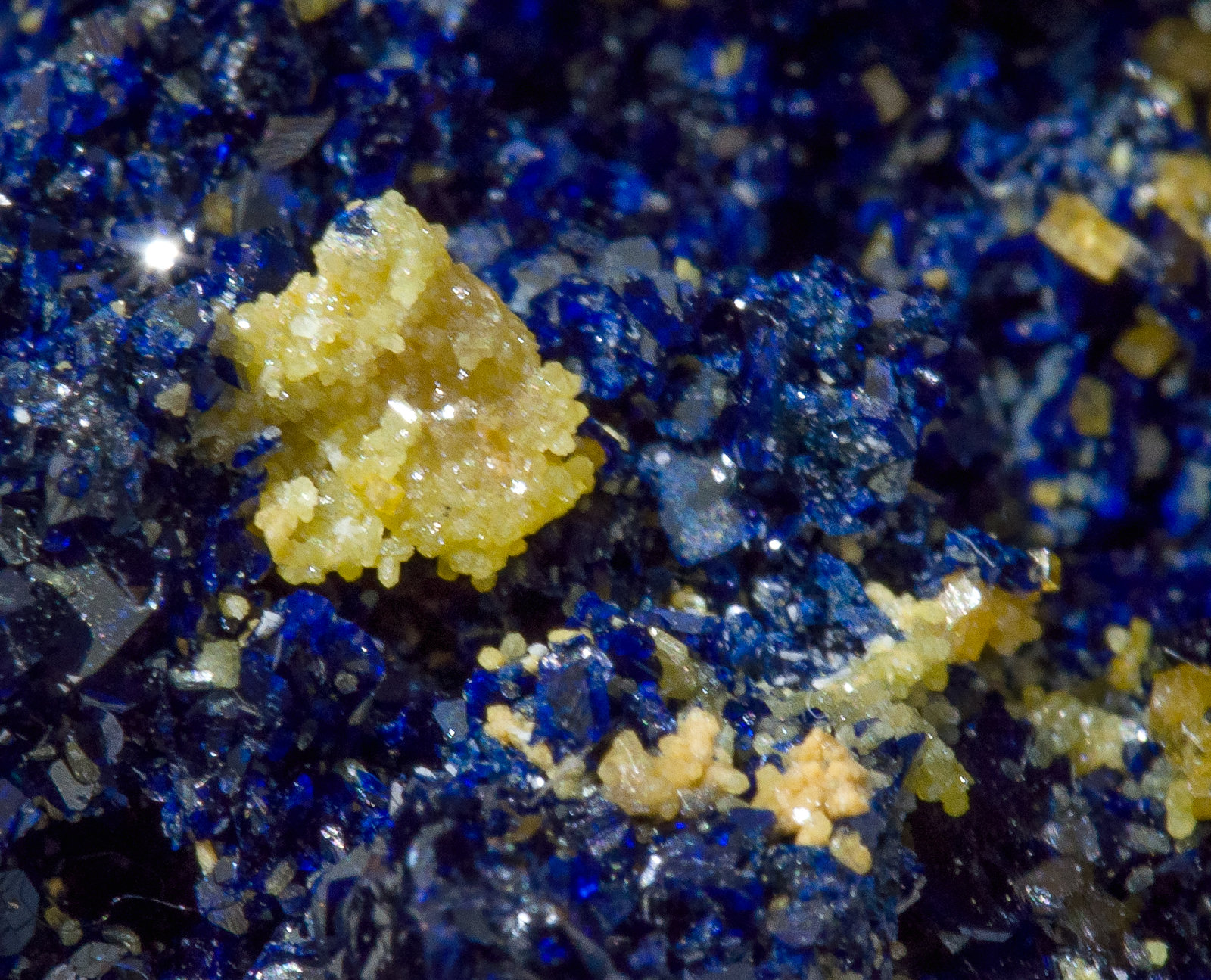 specimens/s_imagesZ5/Azurite-TA46Z5d1.jpg