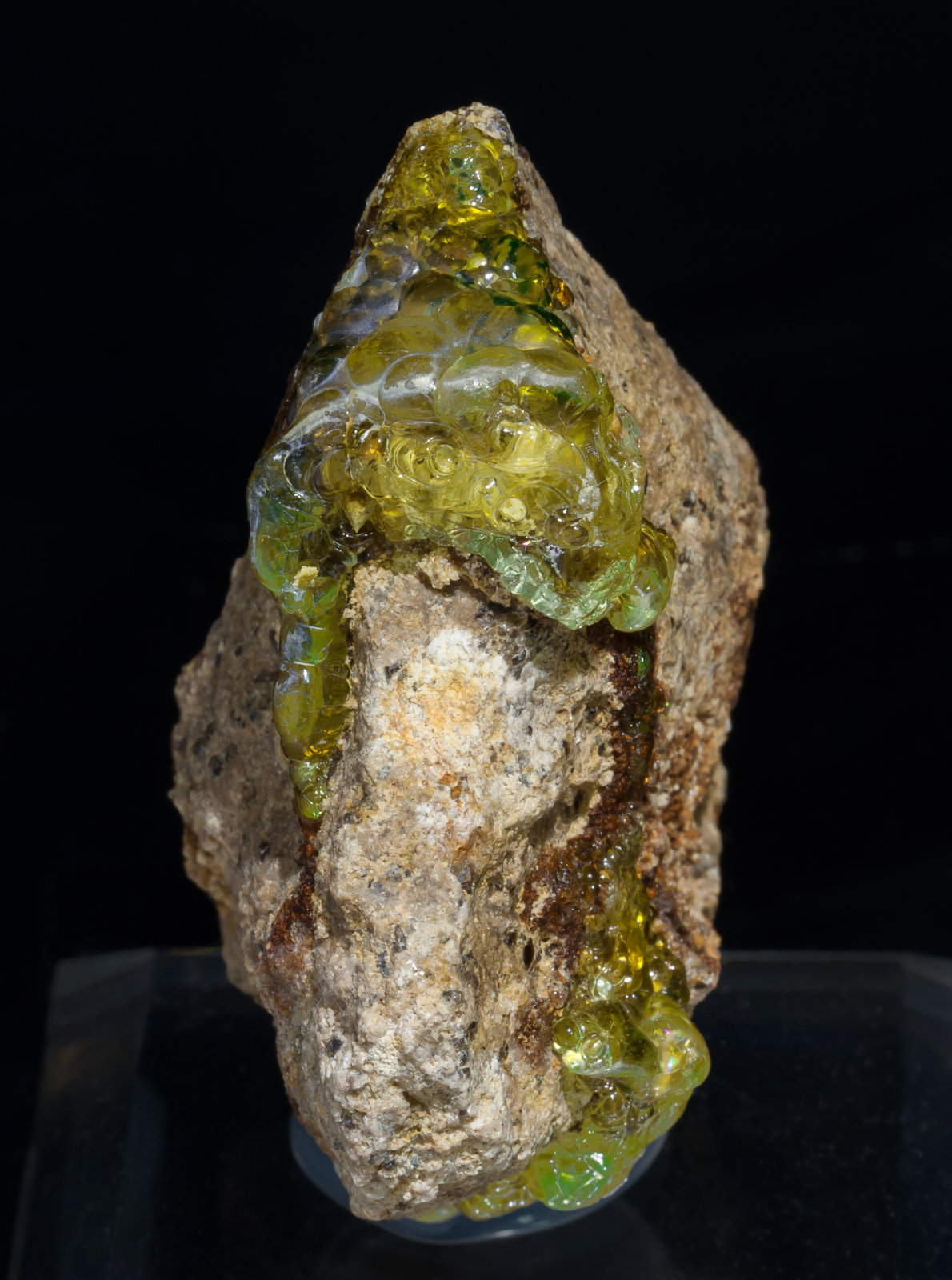 specimens/s_imagesZ6/Opal-TT16Z6f1.jpg
