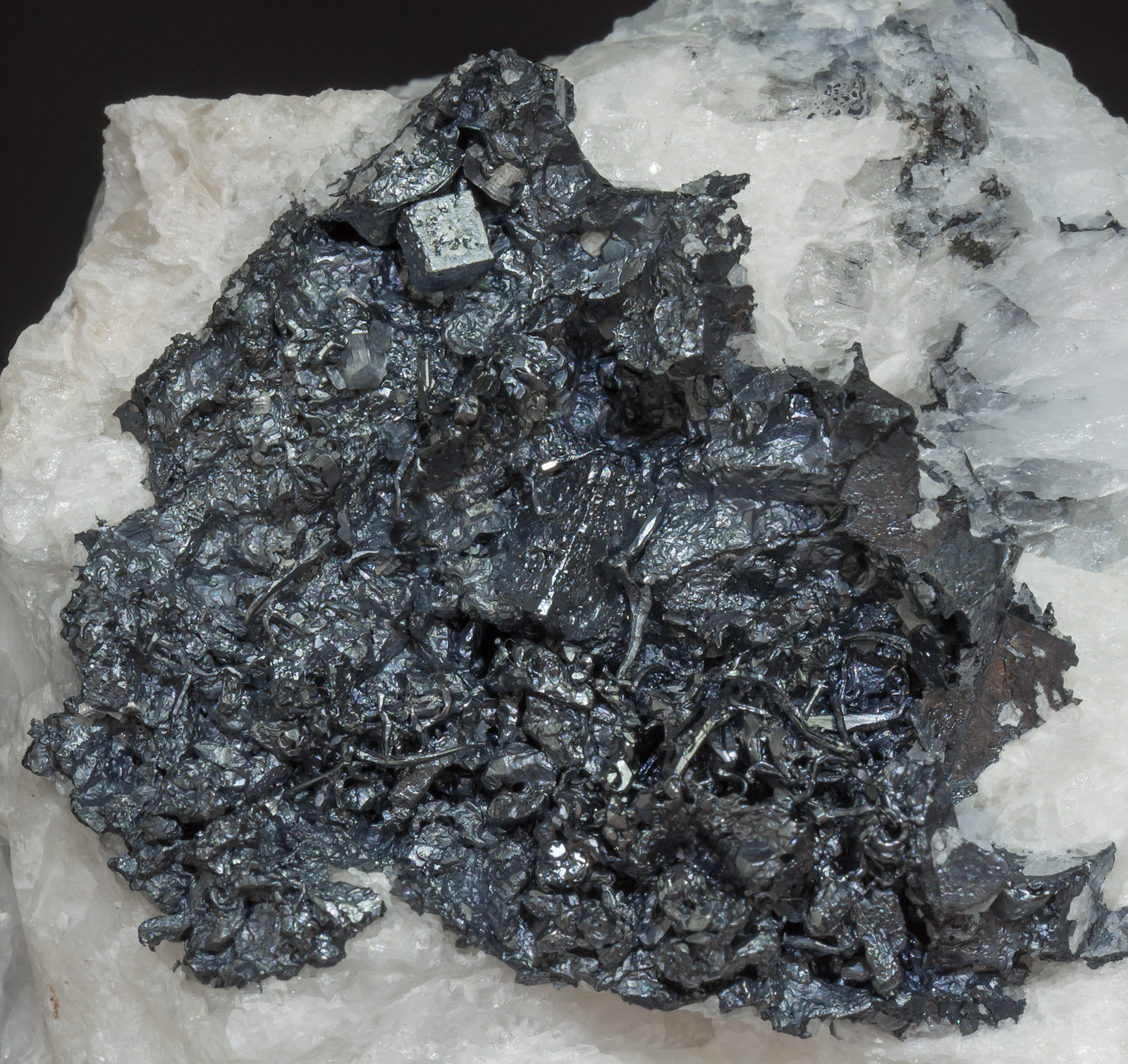 specimens/s_imagesZ7/Acanthite-TV69Z7d.jpg