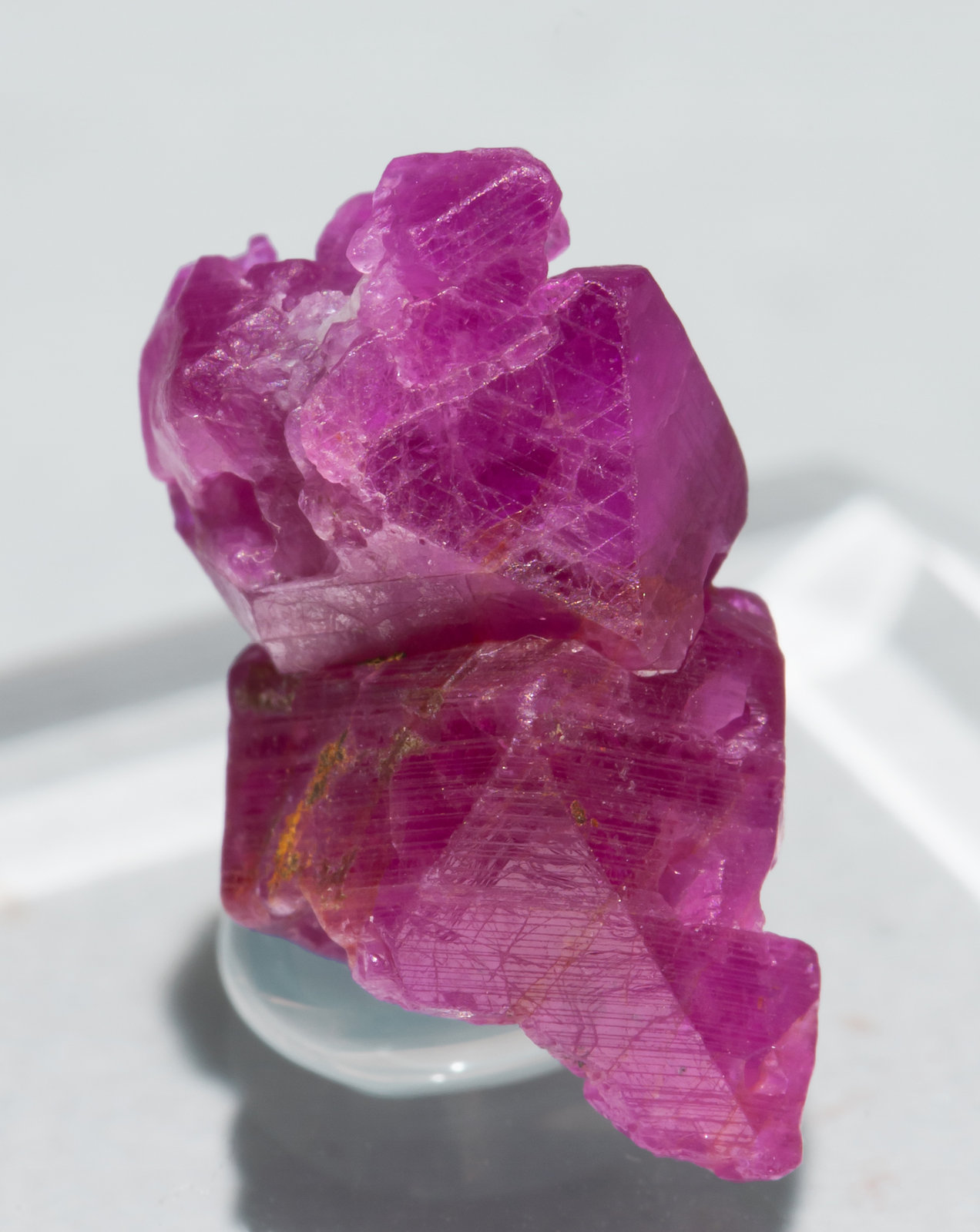 specimens/s_imagesZ7/Corundum_ruby-TP56Z7s1.jpg