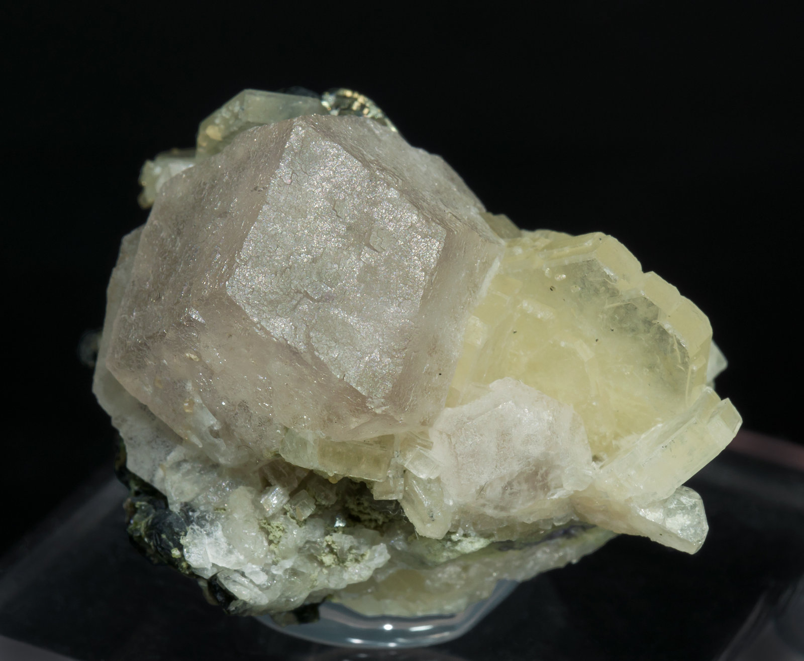 specimens/s_imagesZ7/Fluorite-MR12Z7f.jpg