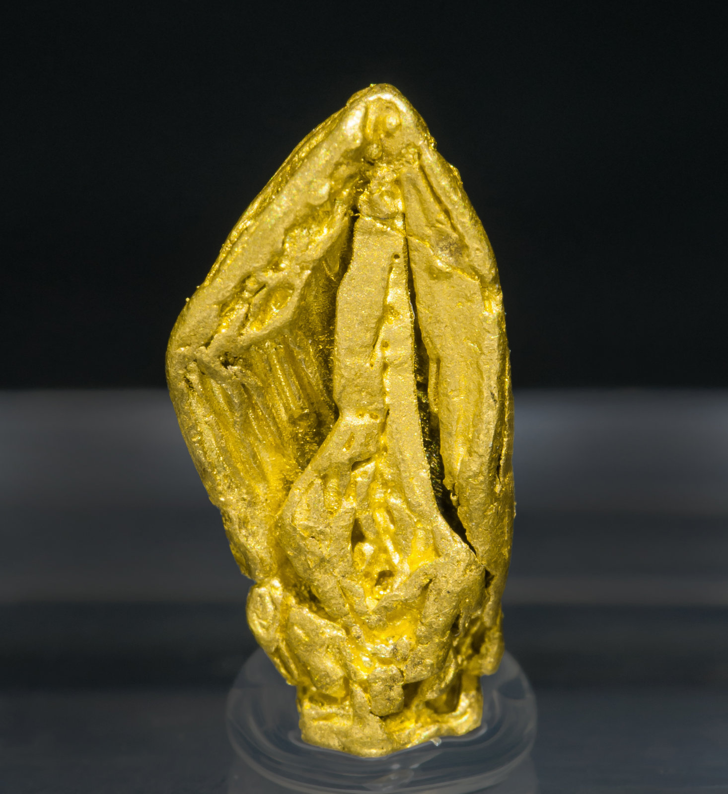 specimens/s_imagesZ7/Gold-TM49Z7f.jpg