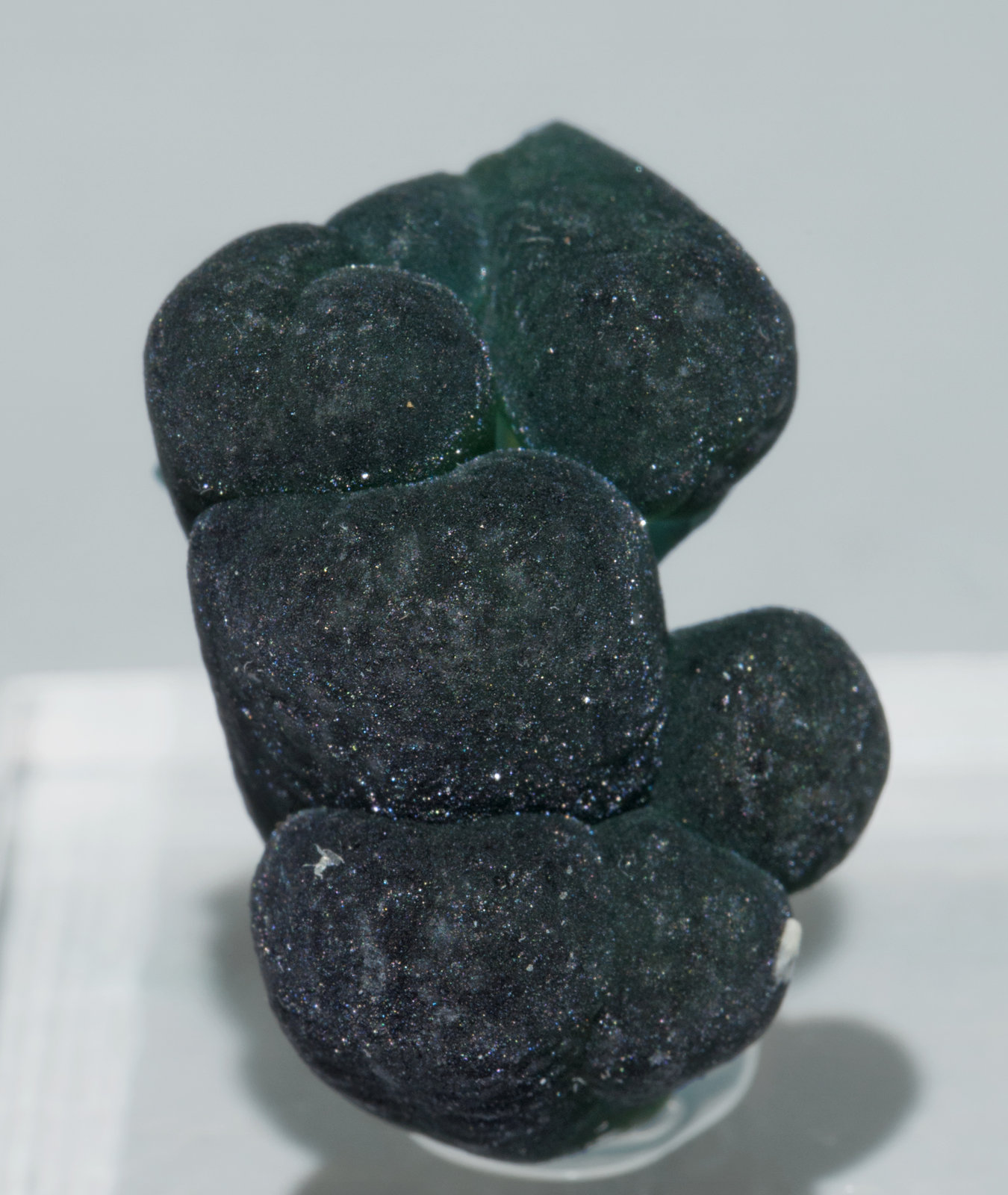 specimens/s_imagesZ7/Plumbogummite-TB6Z7f.jpg