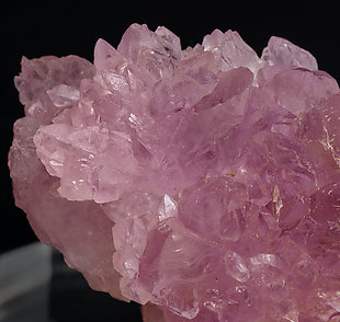 Quartz (variety rose). 